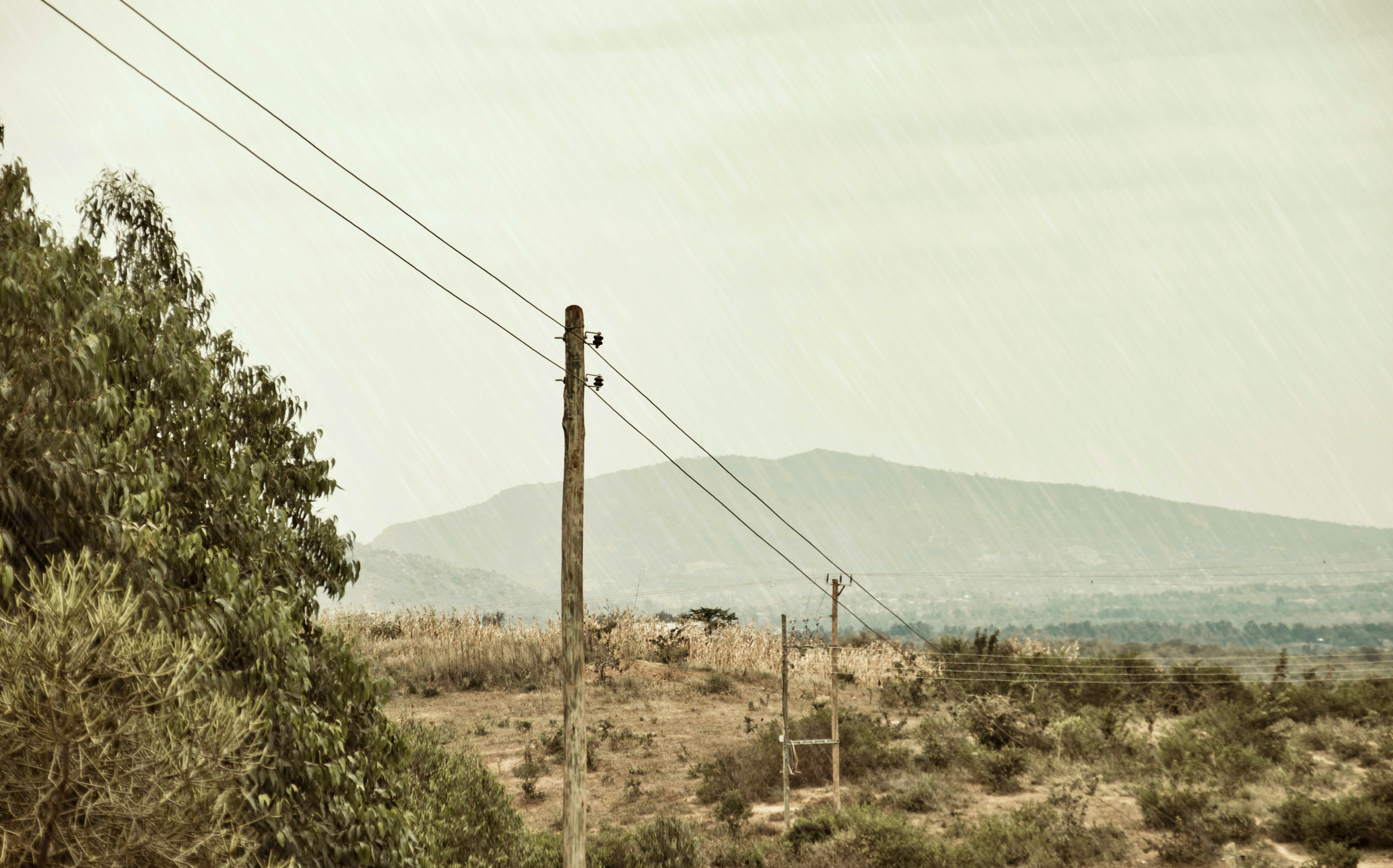 Photo by _shot_through_a_lens