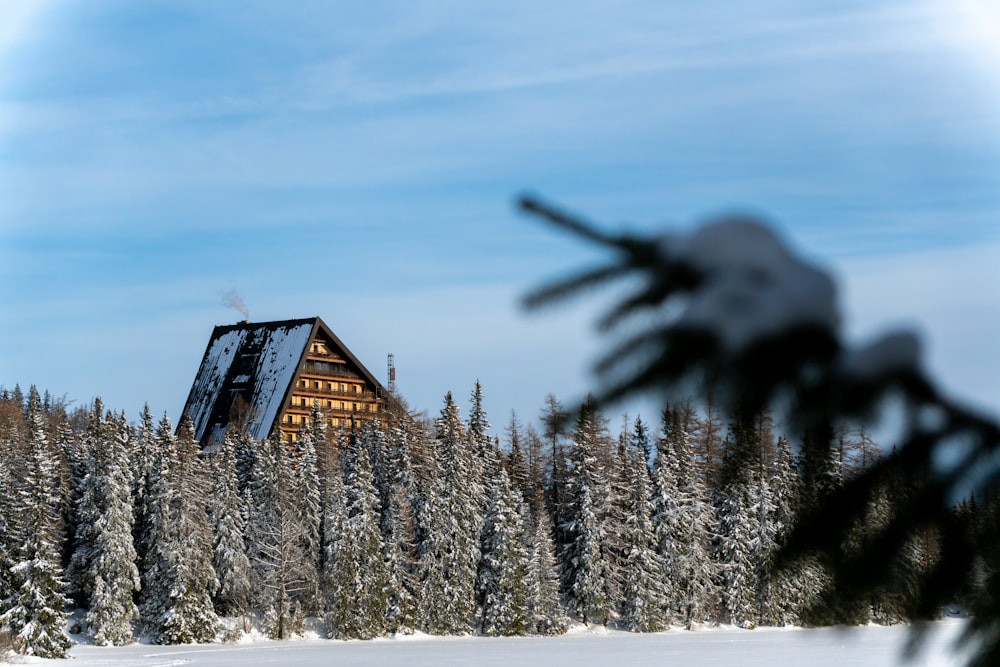 a cabin in the middle of a snowy forest