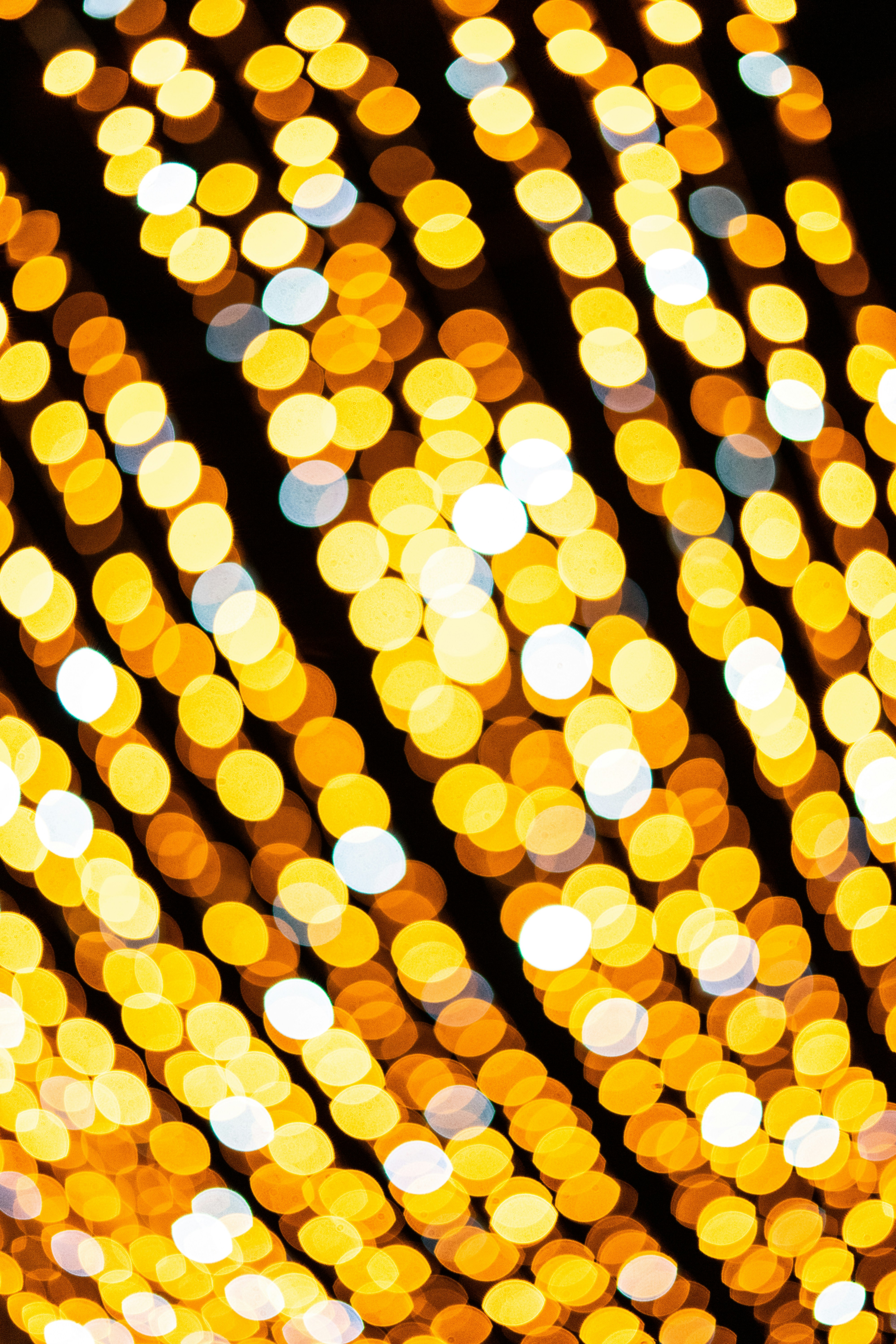 Photo by itsrobcoates