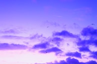 A serene sky at dusk with soft clouds, symbolizing the 'piri hemel' where Saucijs now rests.