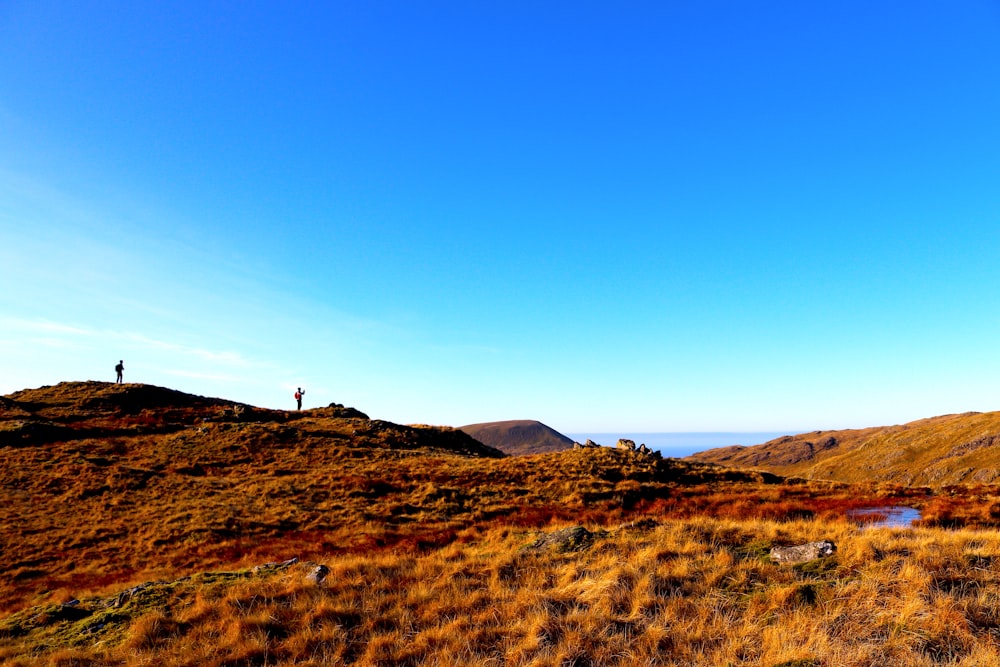 a man standing on top of a grass covered hill