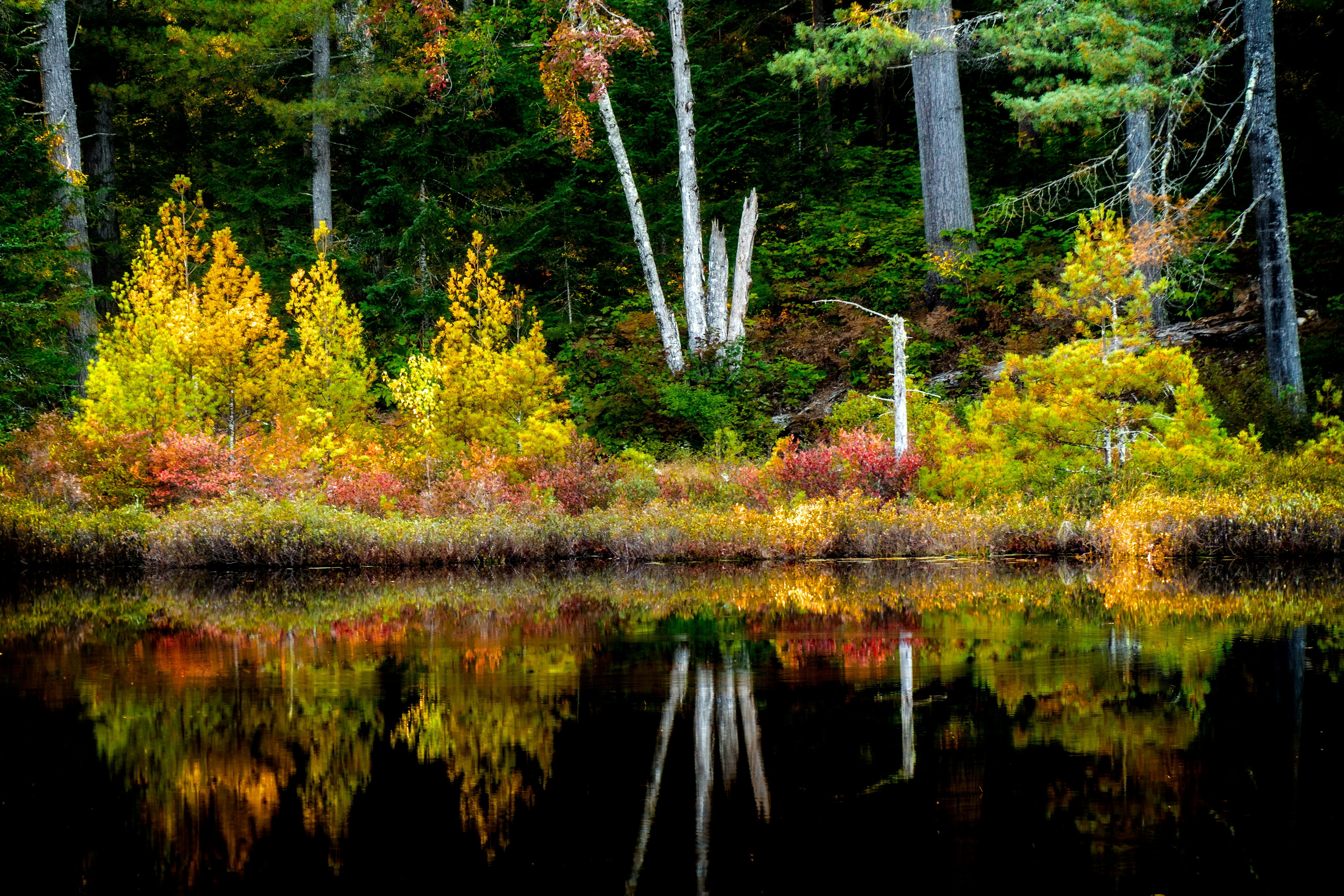 Photo by fotofloridian