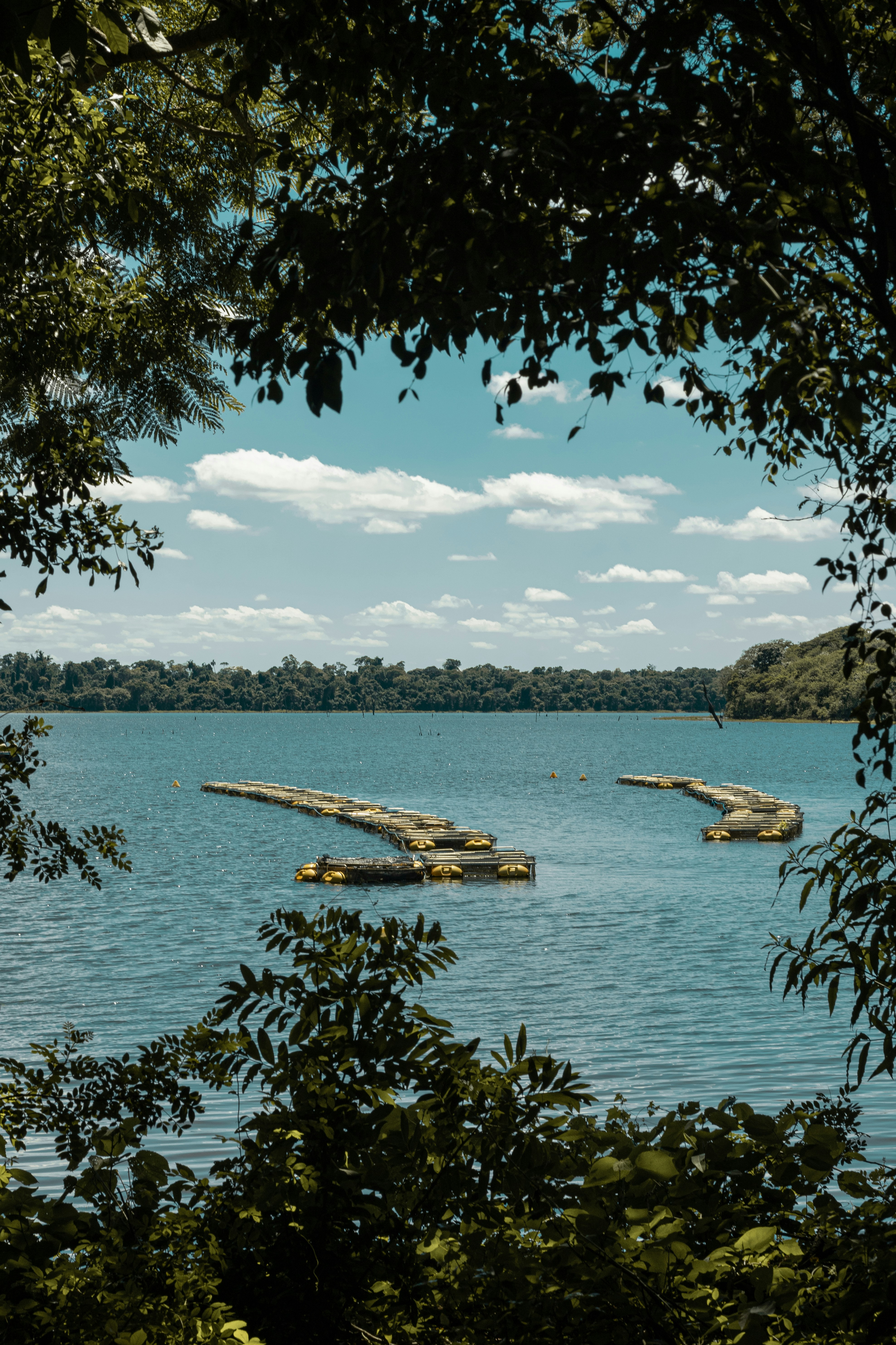 Photo by gabrieluizramos