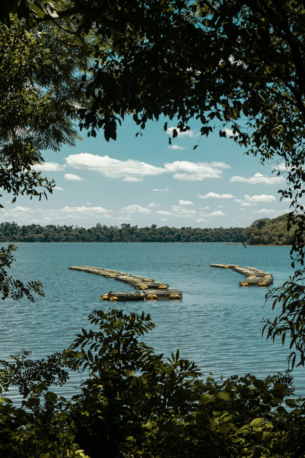 a large body of water surrounded by trees