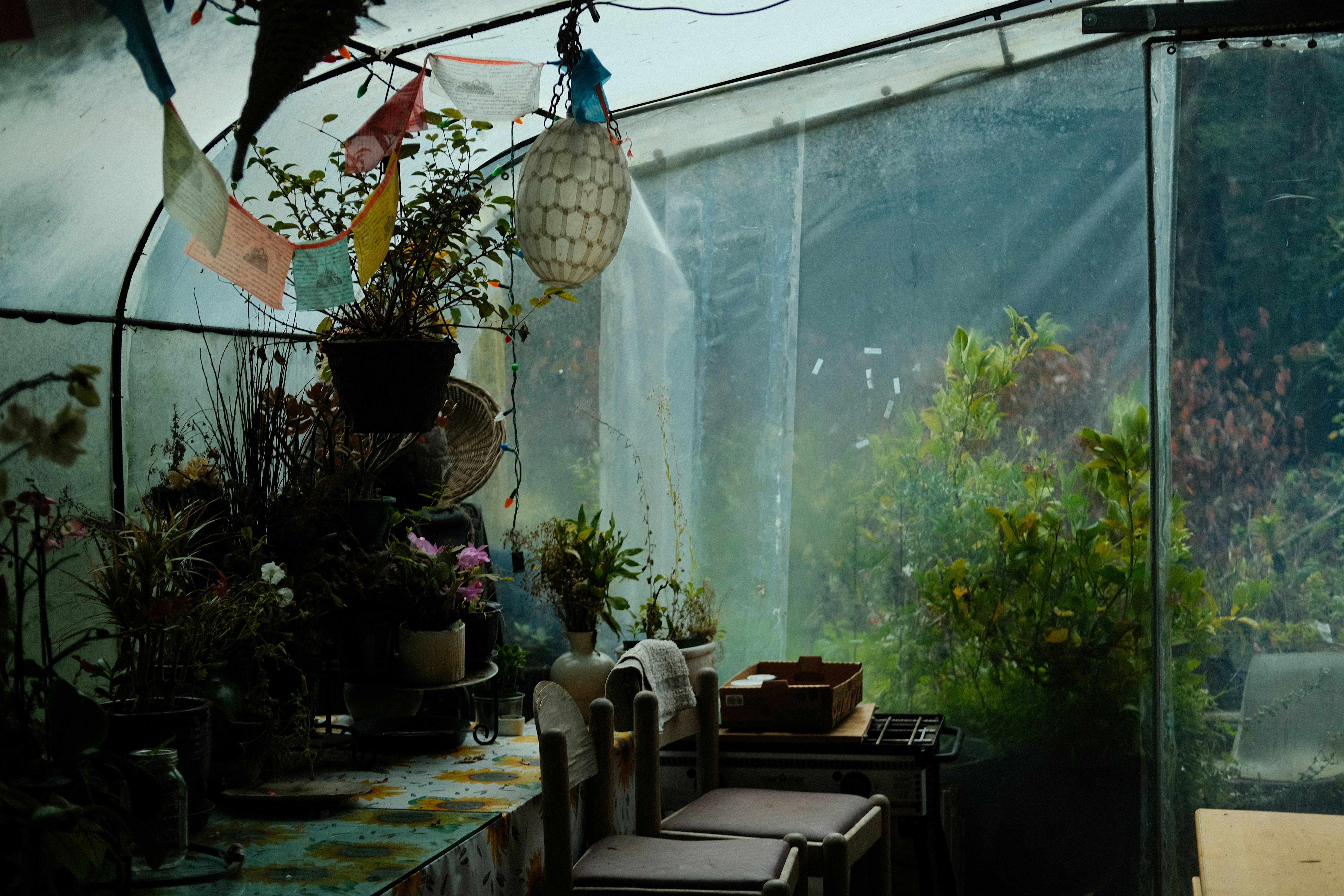 a room filled with lots of plants inside of a greenhouse