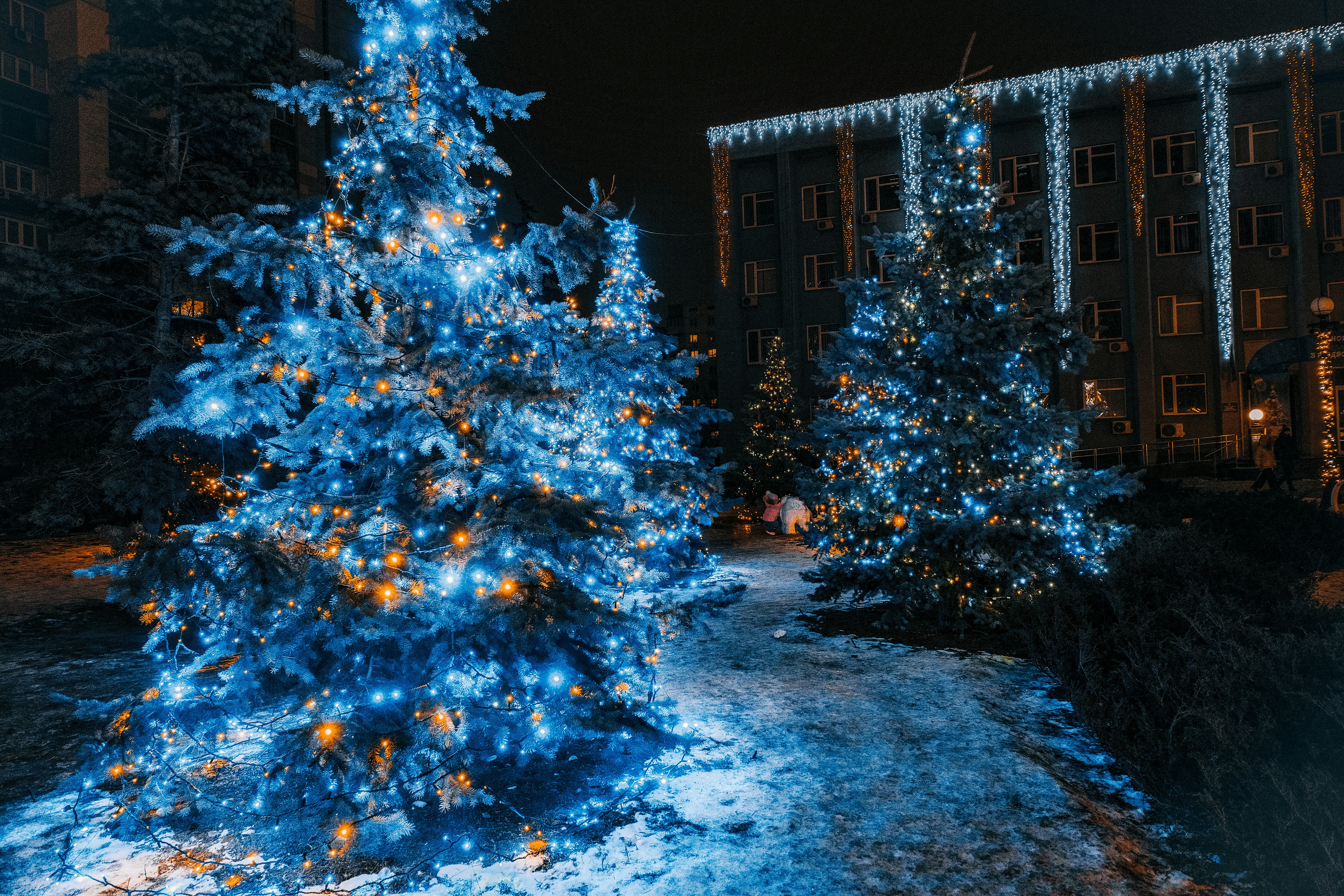 Photo by egorkomarov