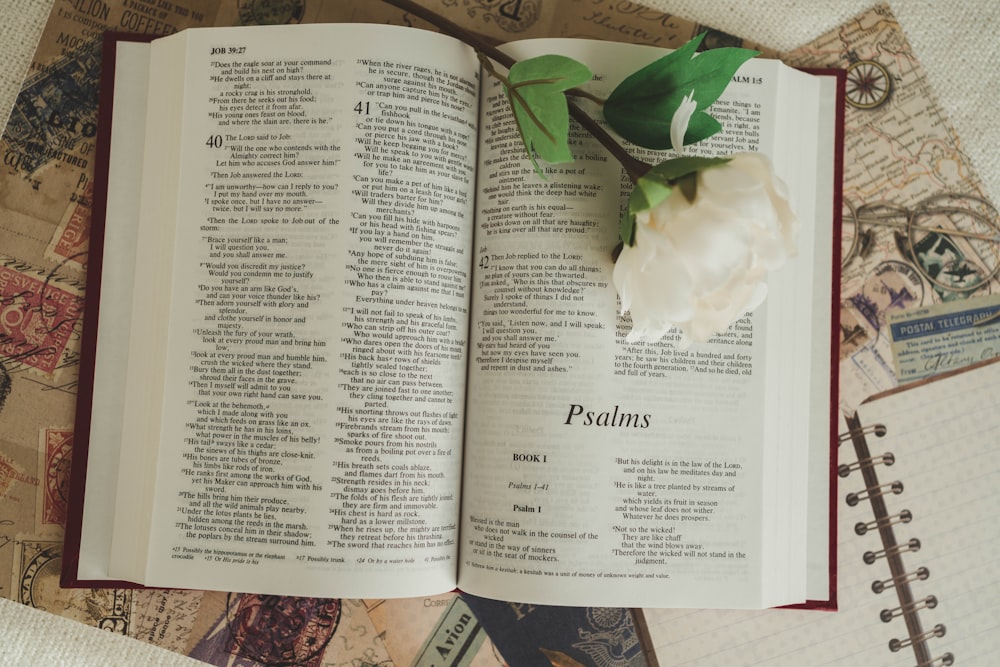 an open book with a flower on top of it