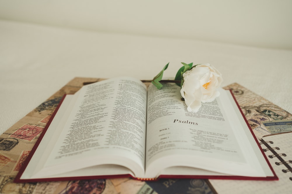 an open book with a flower on top of it