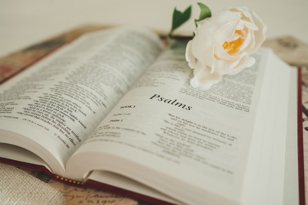 an open book with a flower on top of it