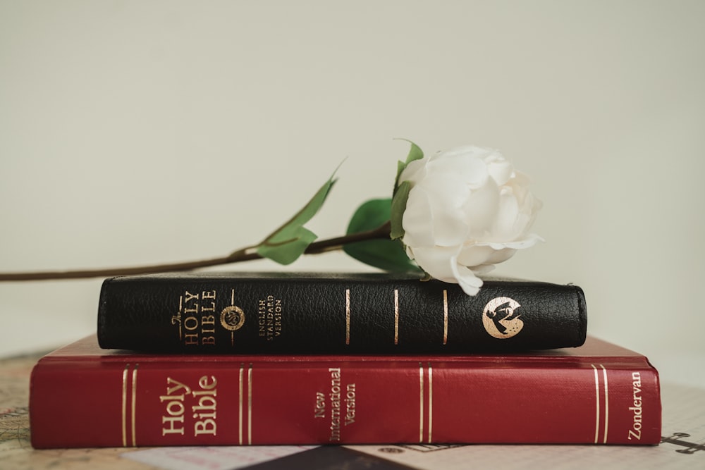 a white rose sitting on top of two books