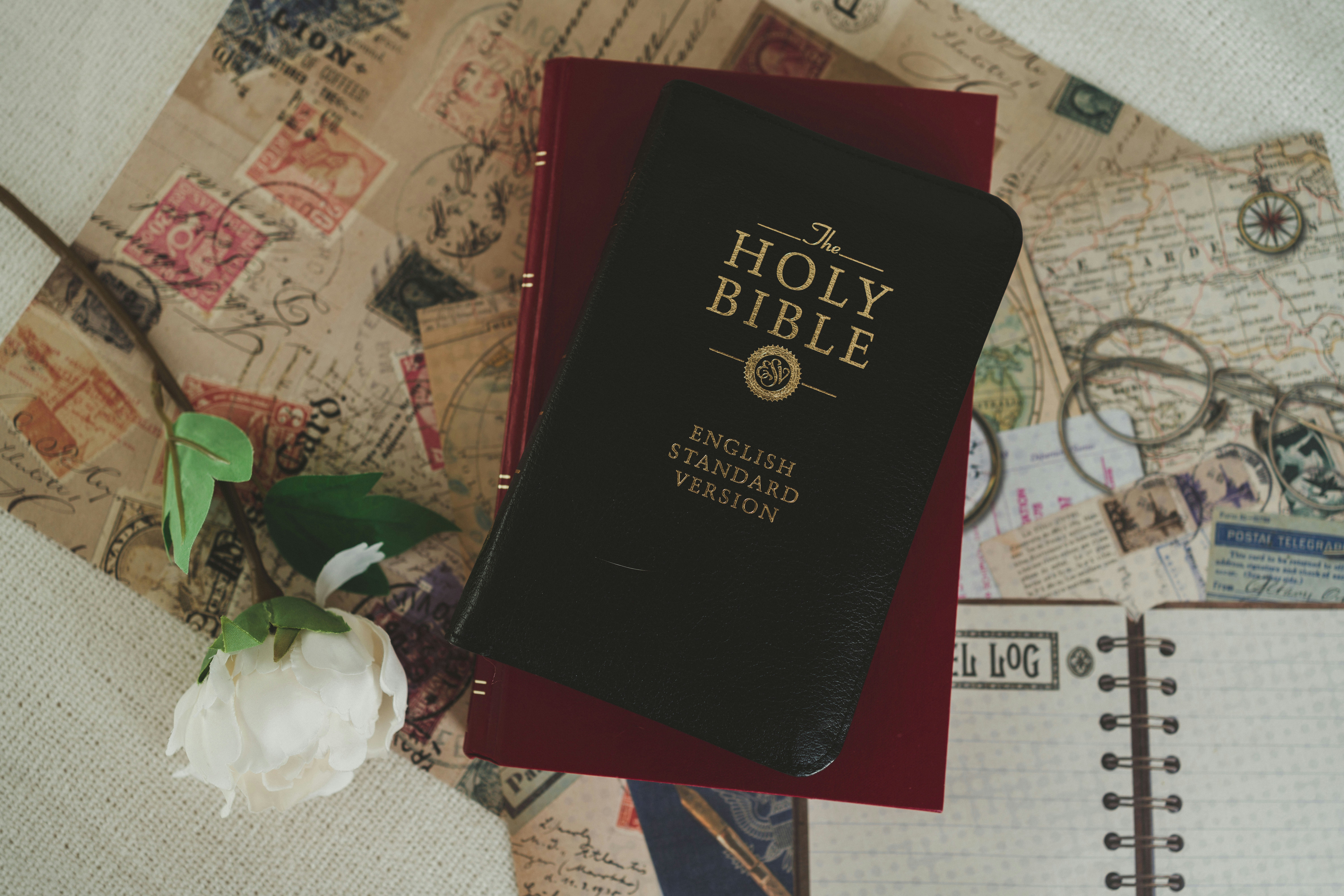 a bible sitting on top of a table next to a flower
