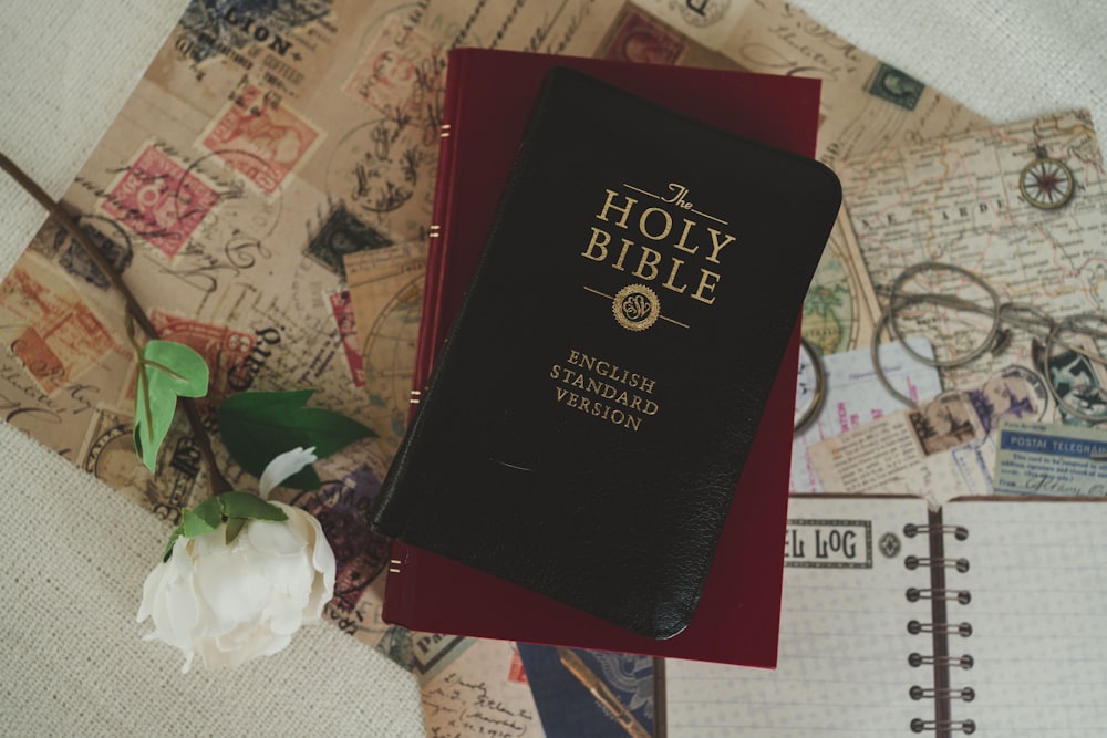 Una Biblia sentada encima de una mesa junto a una flor