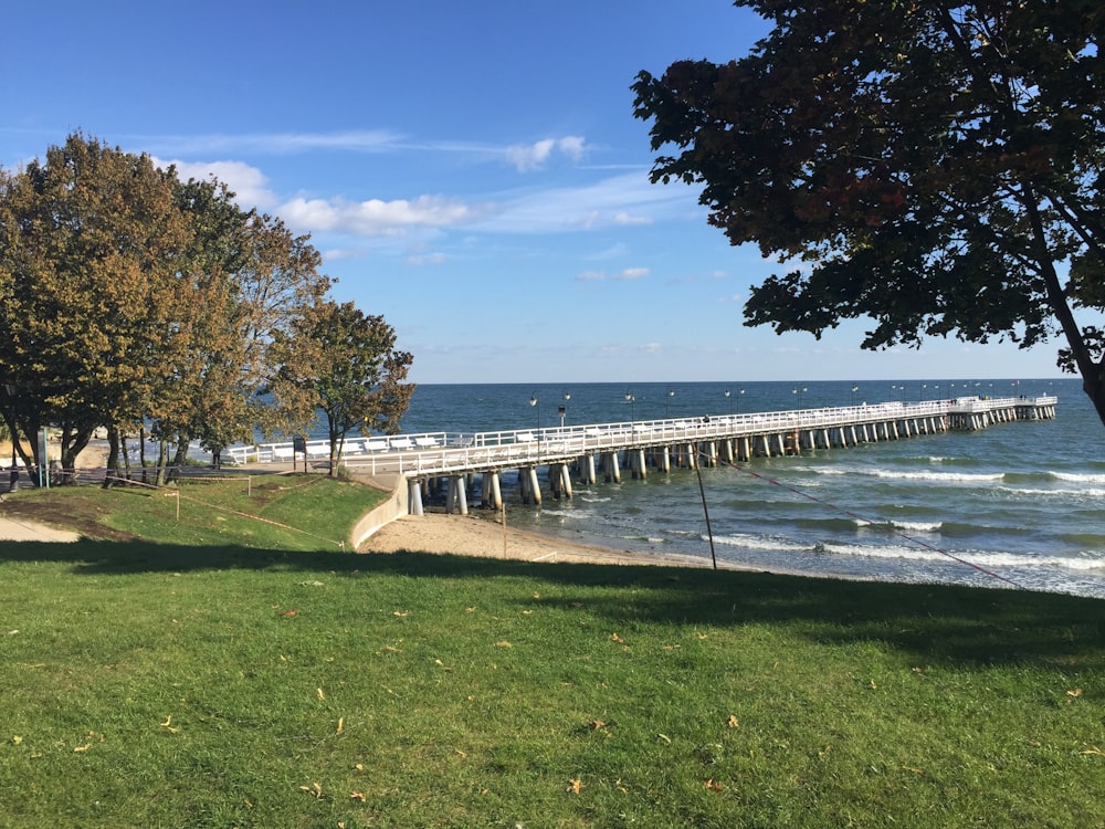 a view of the ocean and a pier in the distance