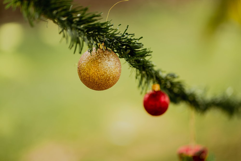 Un adorno navideño colgando de la rama de un árbol