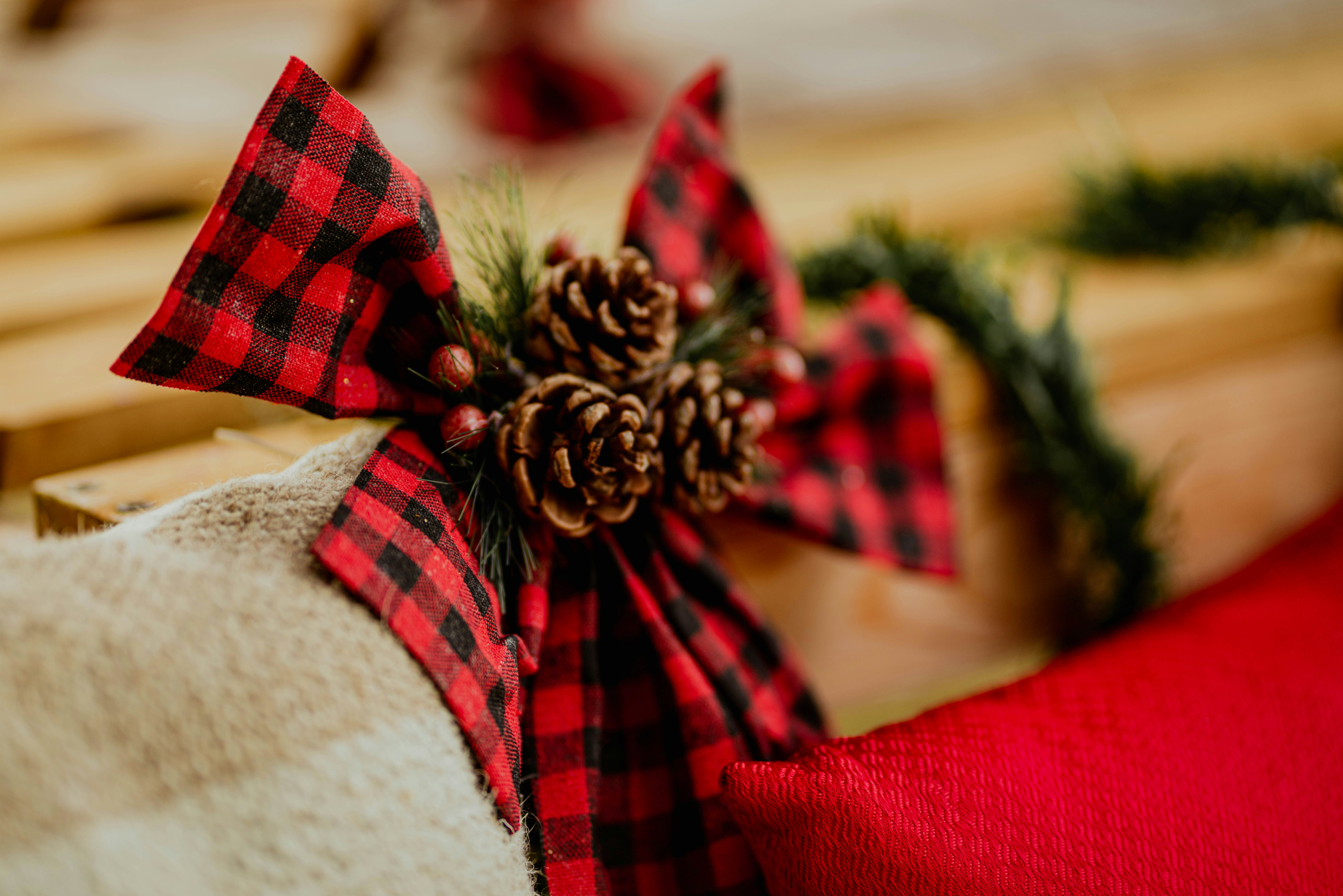 Photo by taiscaptures