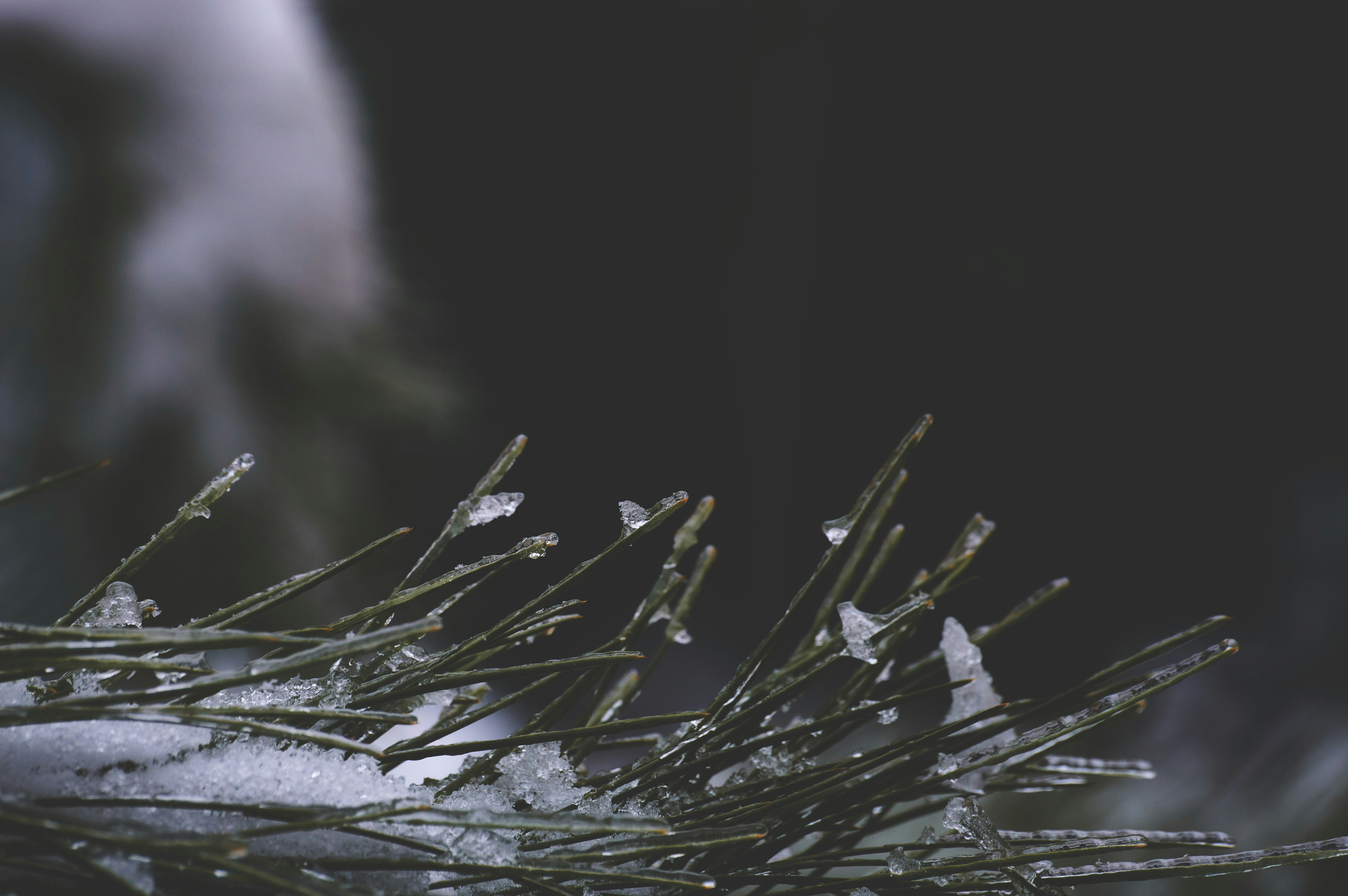 Photo by stabelwebel