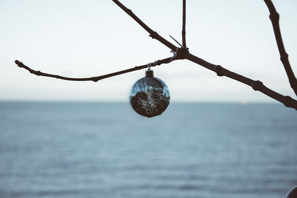 a glass ornament hanging from a tree next to the ocean