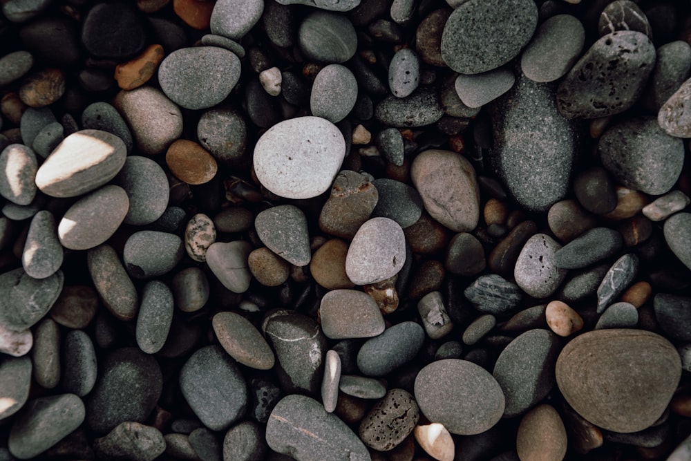 a bunch of rocks that are on the ground