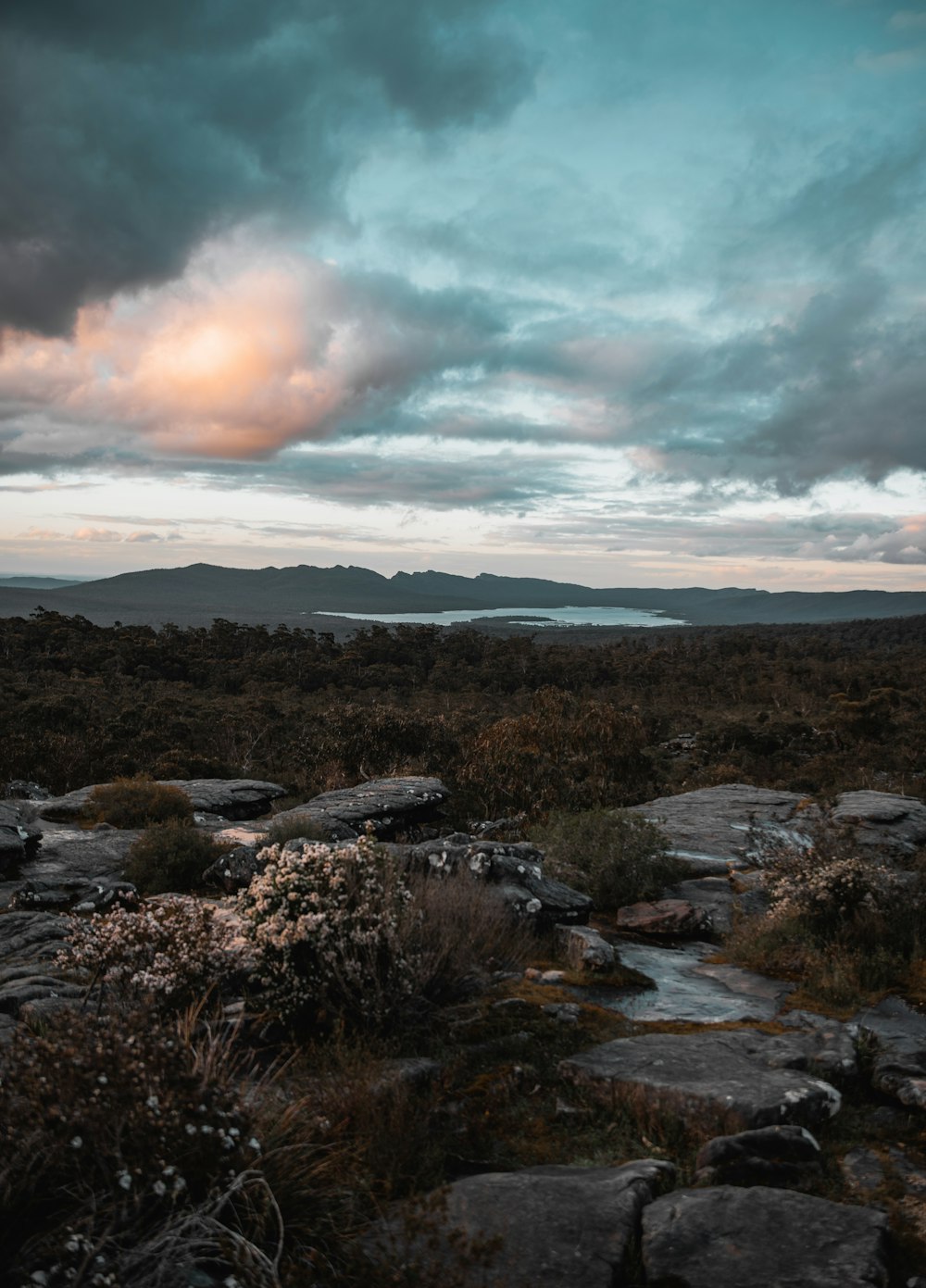 a field with rocks and plants under a cloudy sky