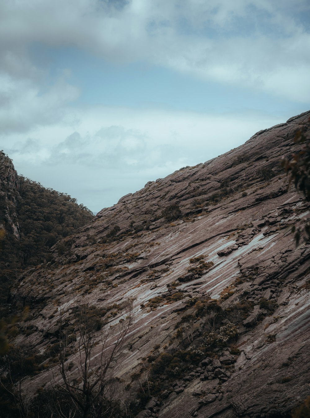 a rocky mountain with trees on the side of it