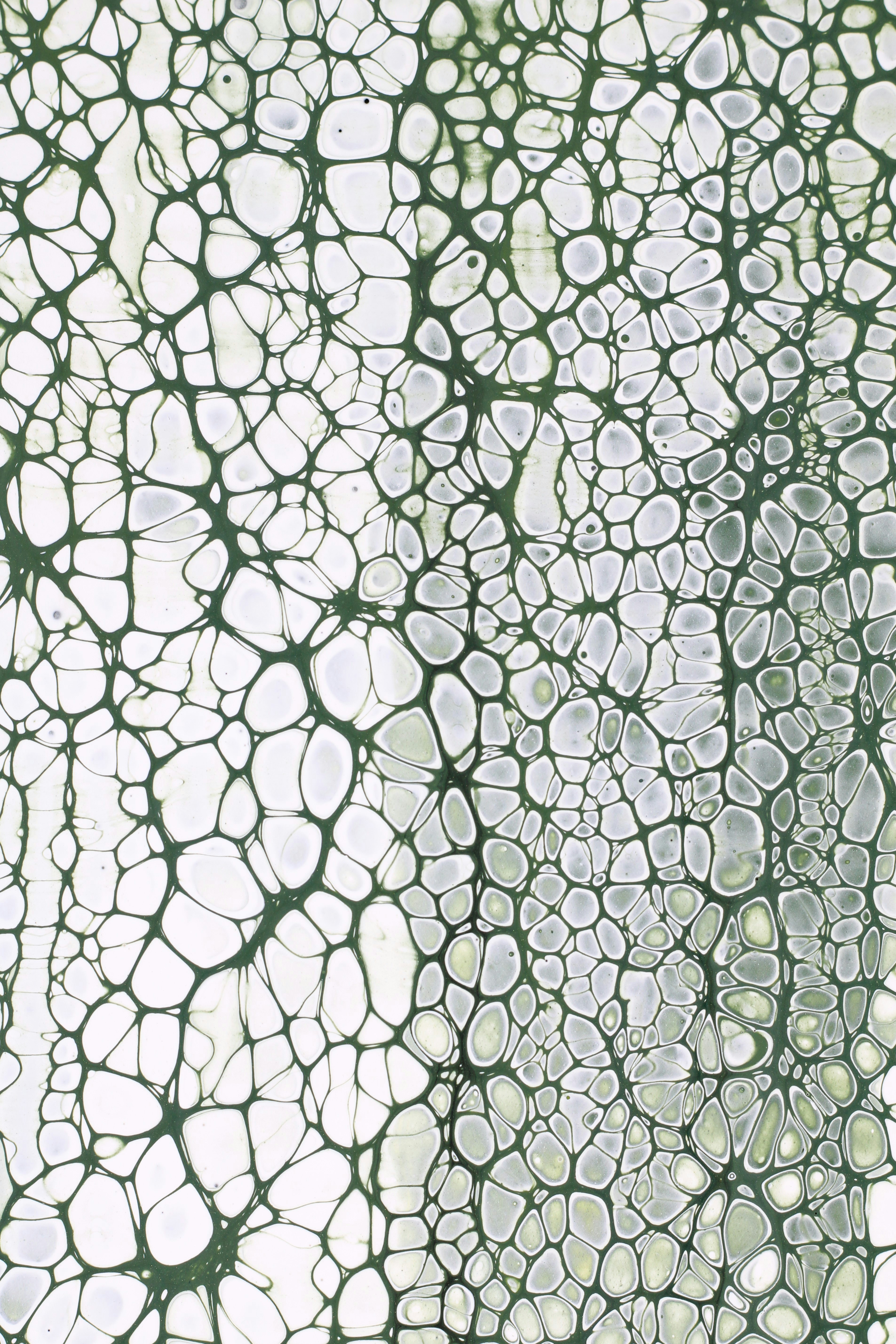 Photo by susan_wilkinson