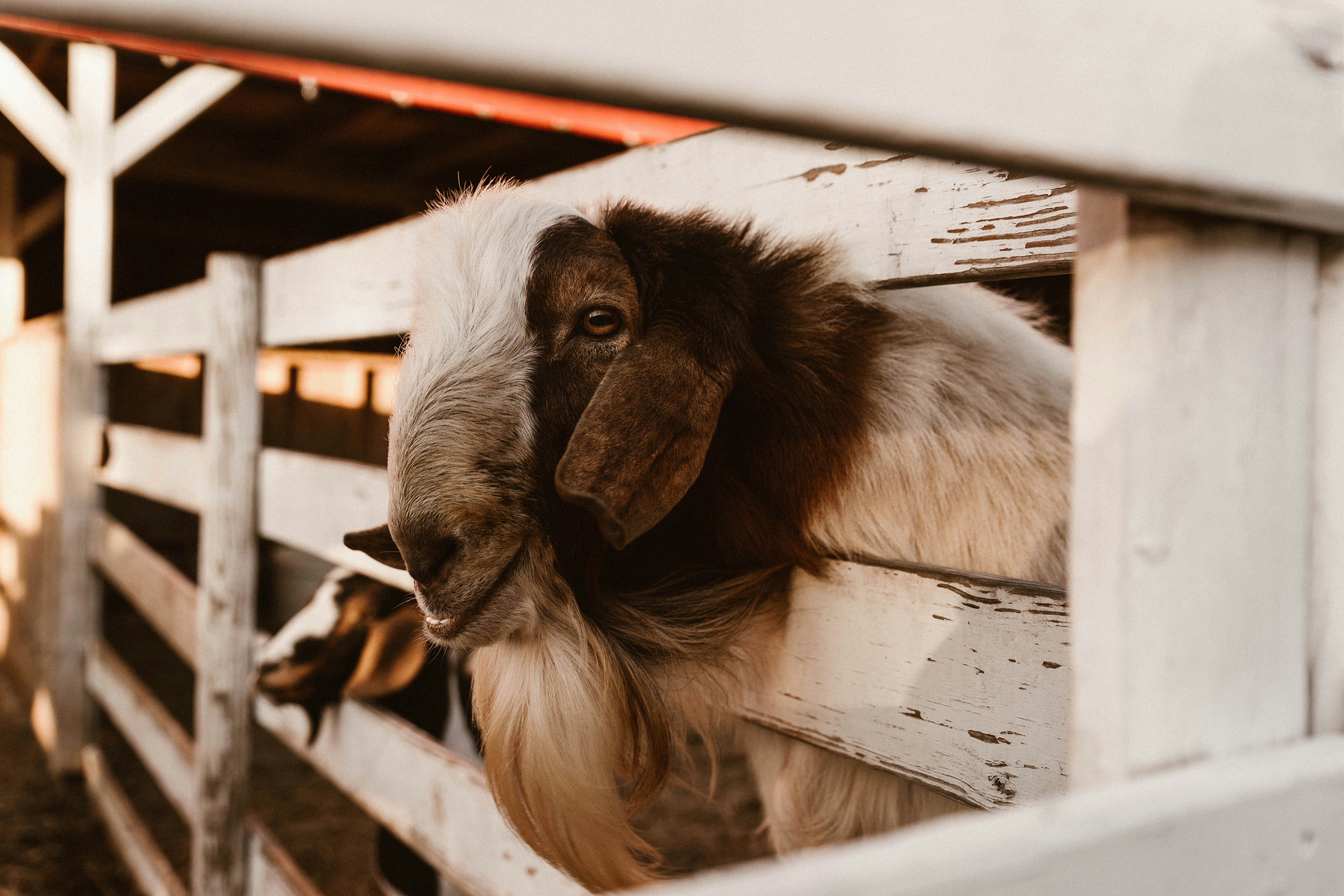 Photo by benignohoyuela