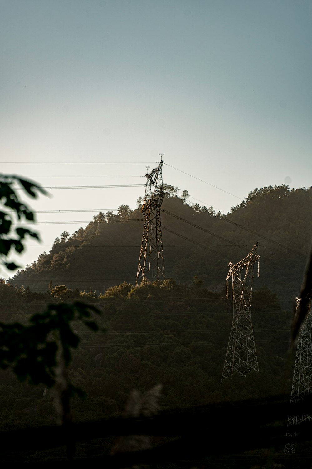 a couple of power lines sitting on top of a lush green hillside