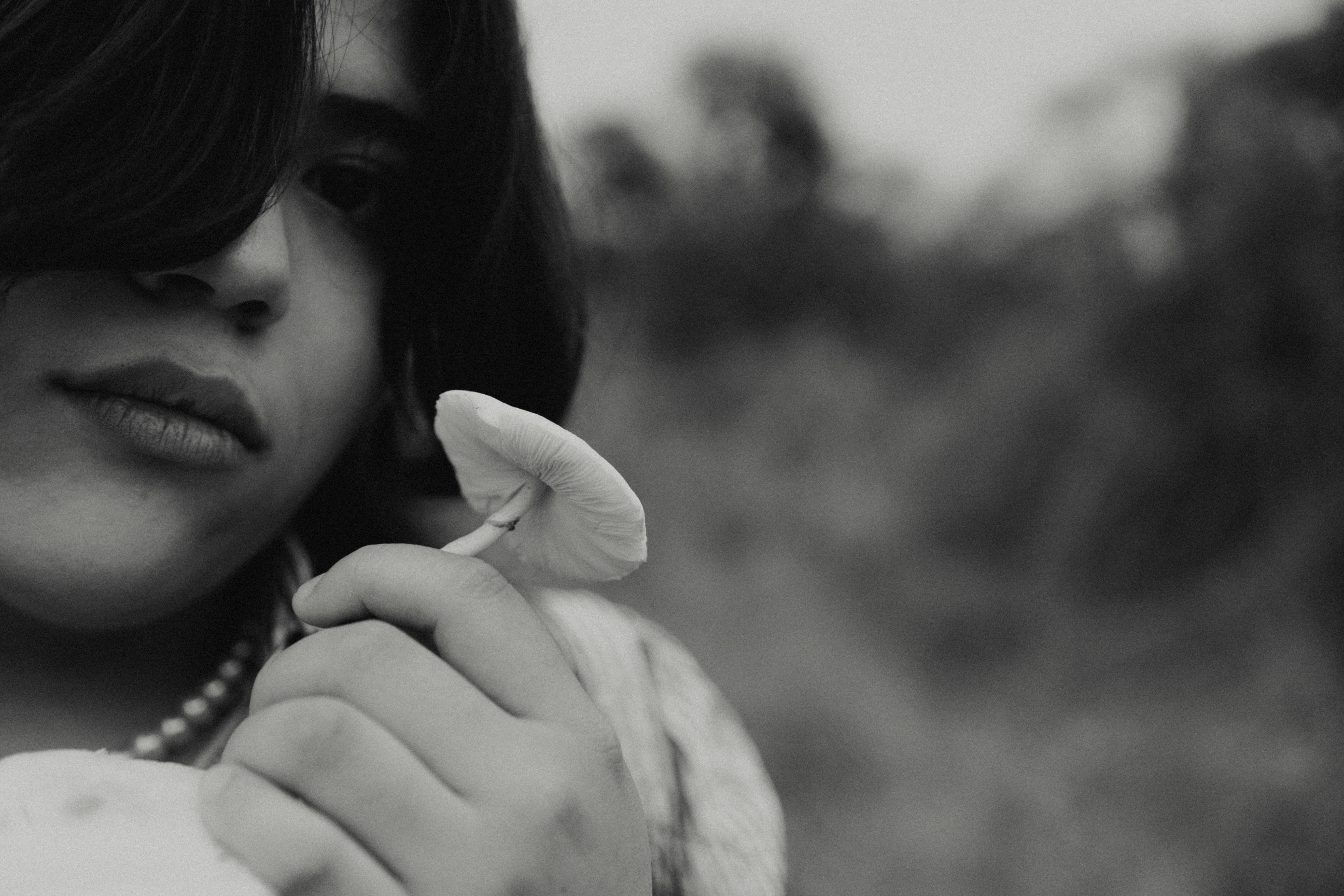 Photo by benignohoyuela