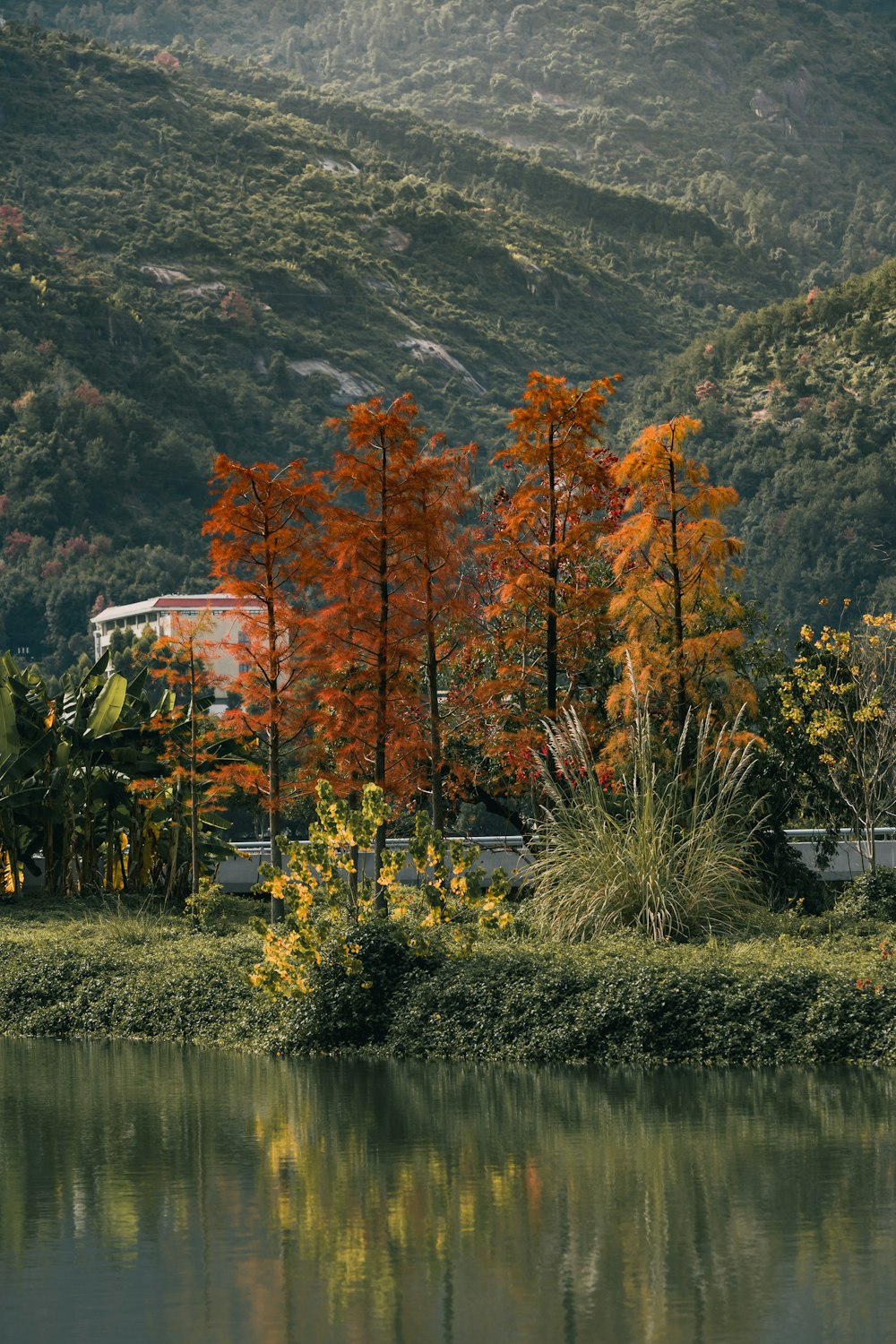 a body of water surrounded by trees and mountains