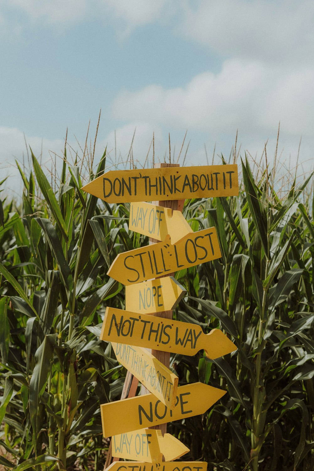 a bunch of signs that are in the grass