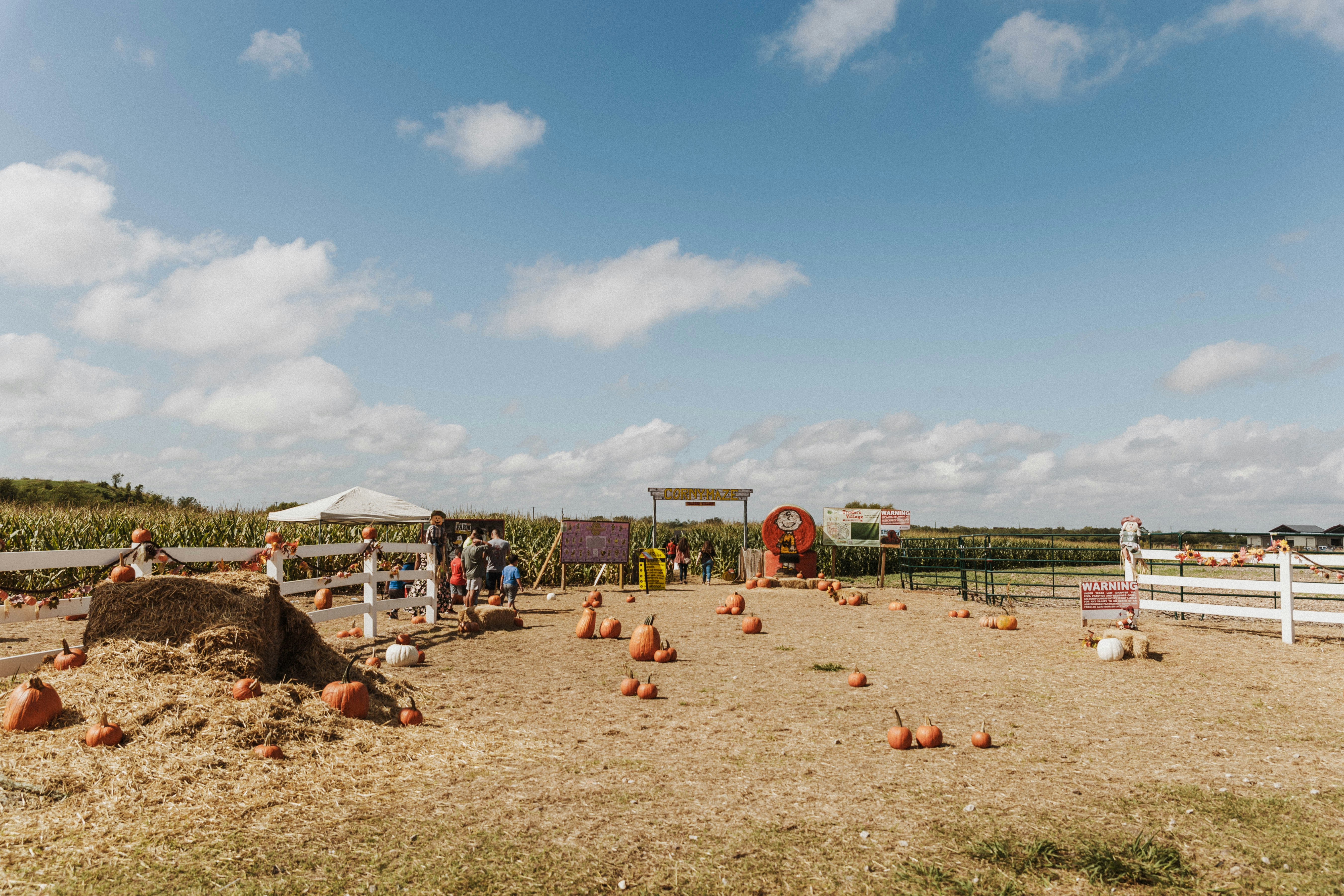 a group of people standing around in a field