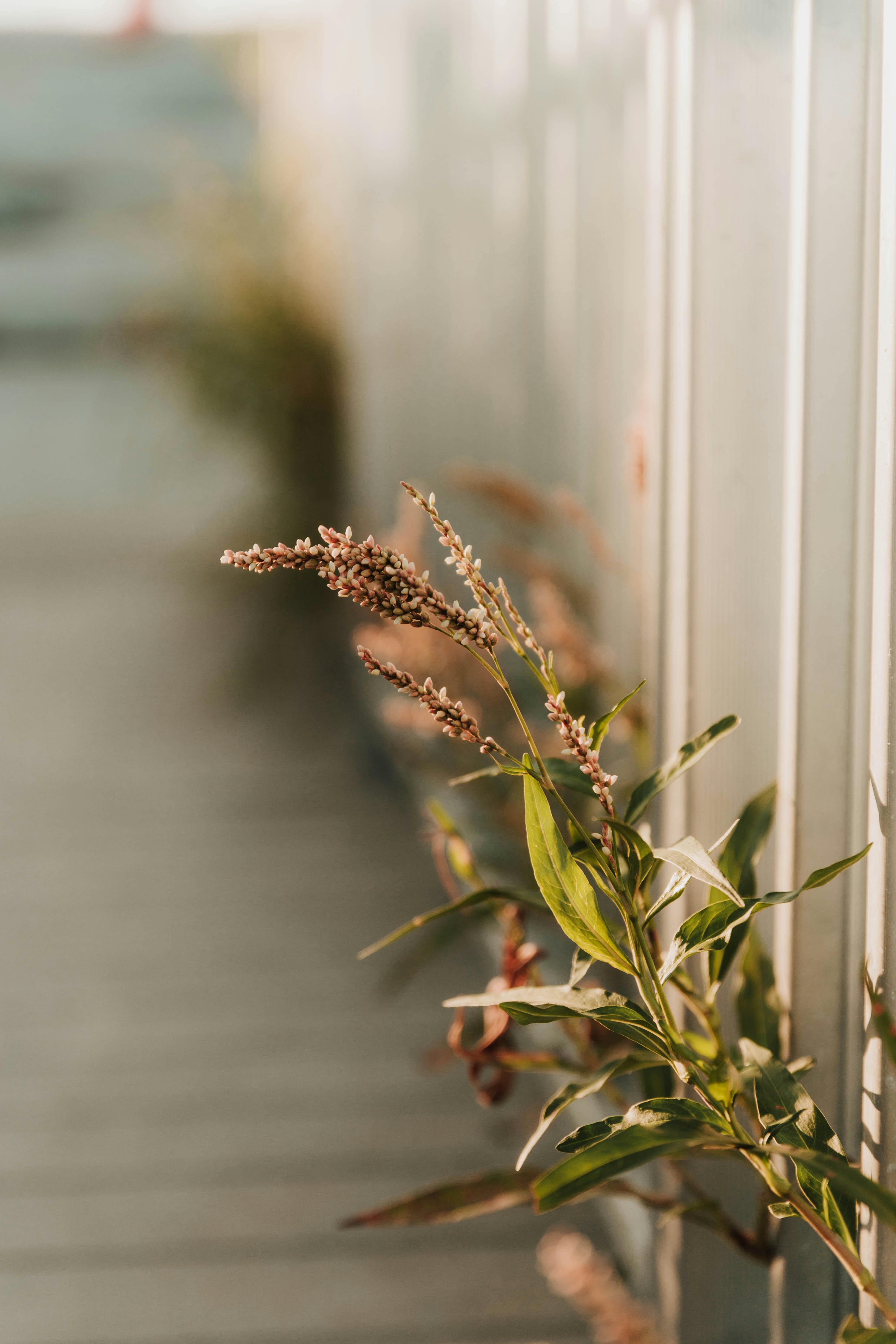 Photo by benignohoyuela