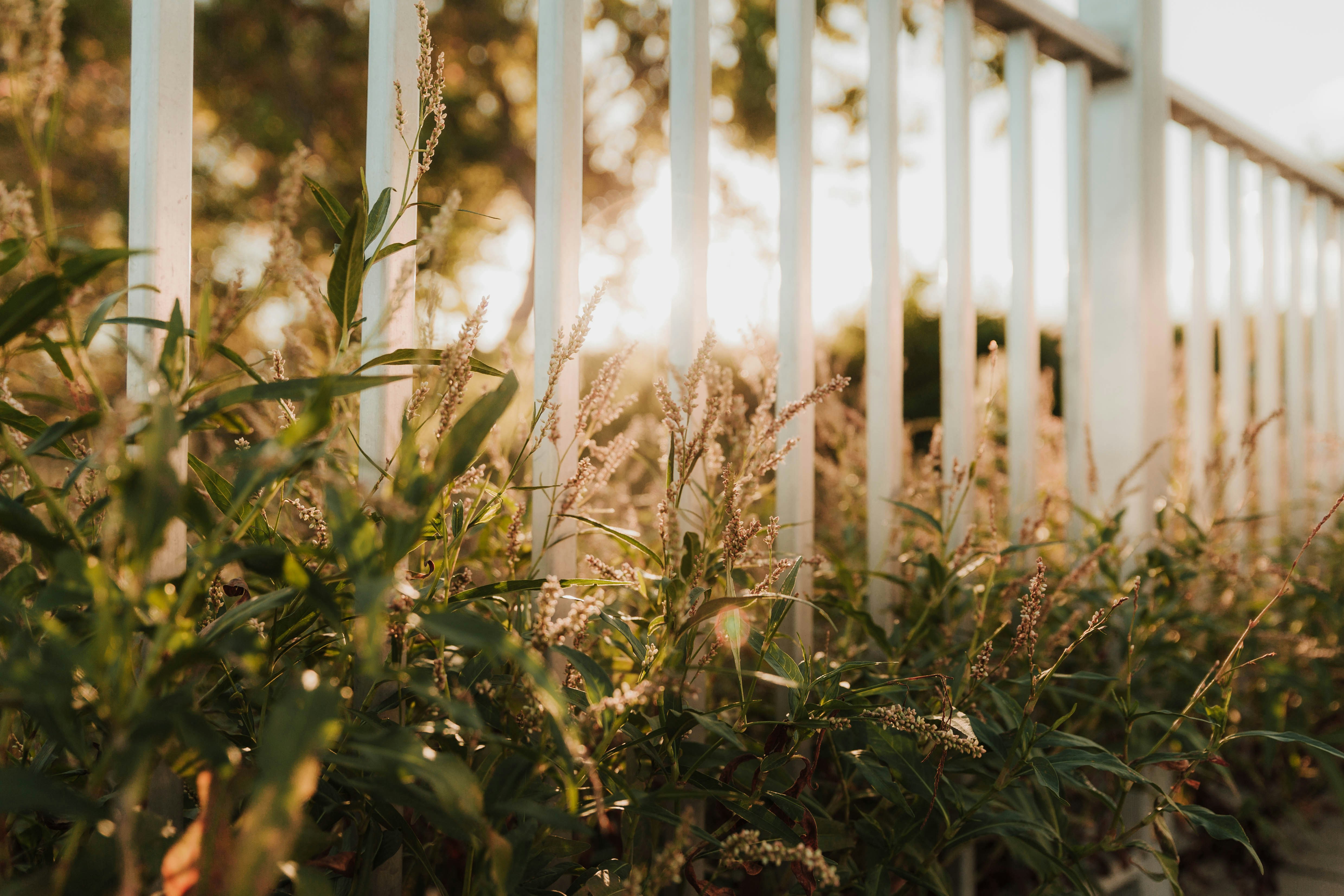 Photo by benignohoyuela