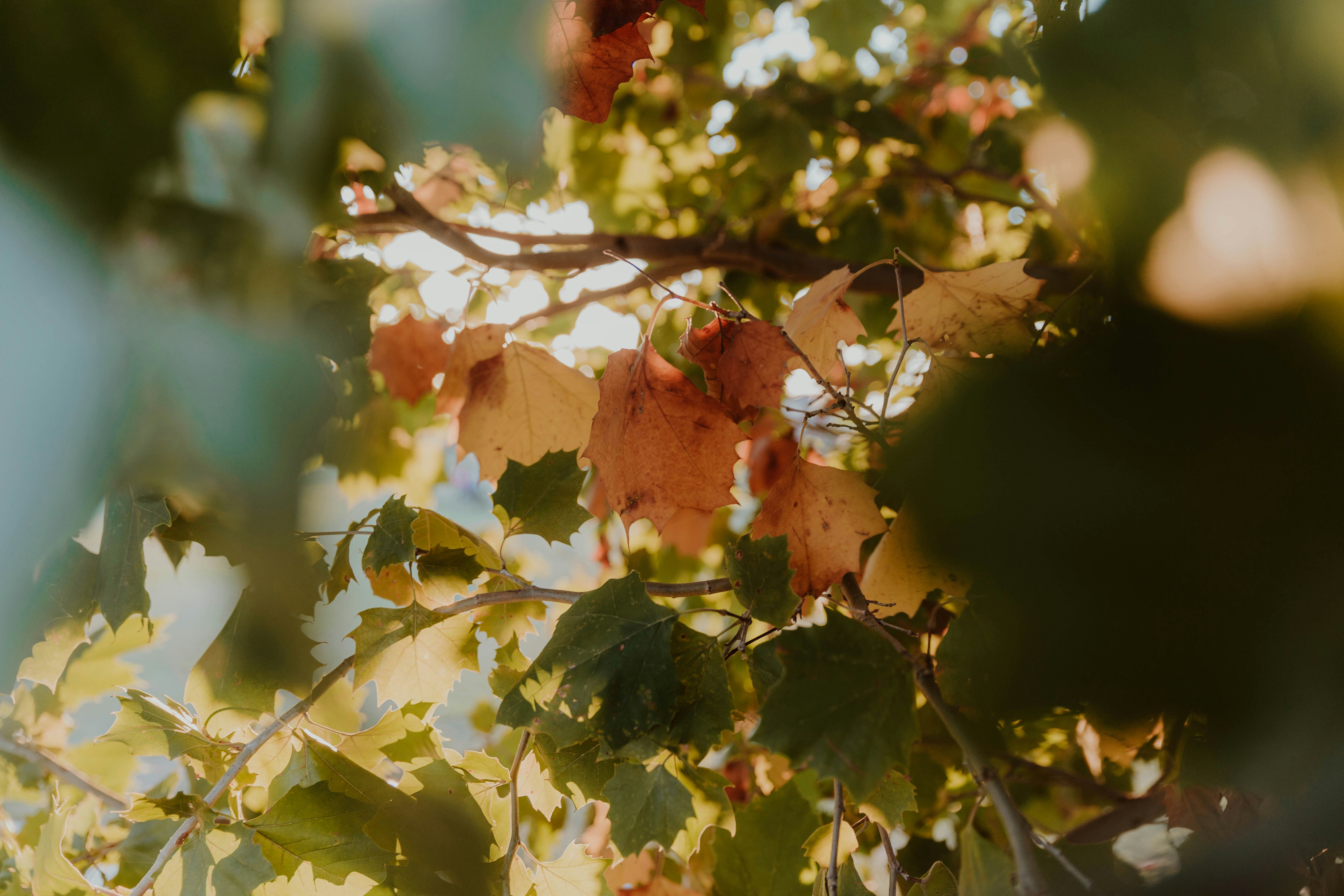 Photo by benignohoyuela