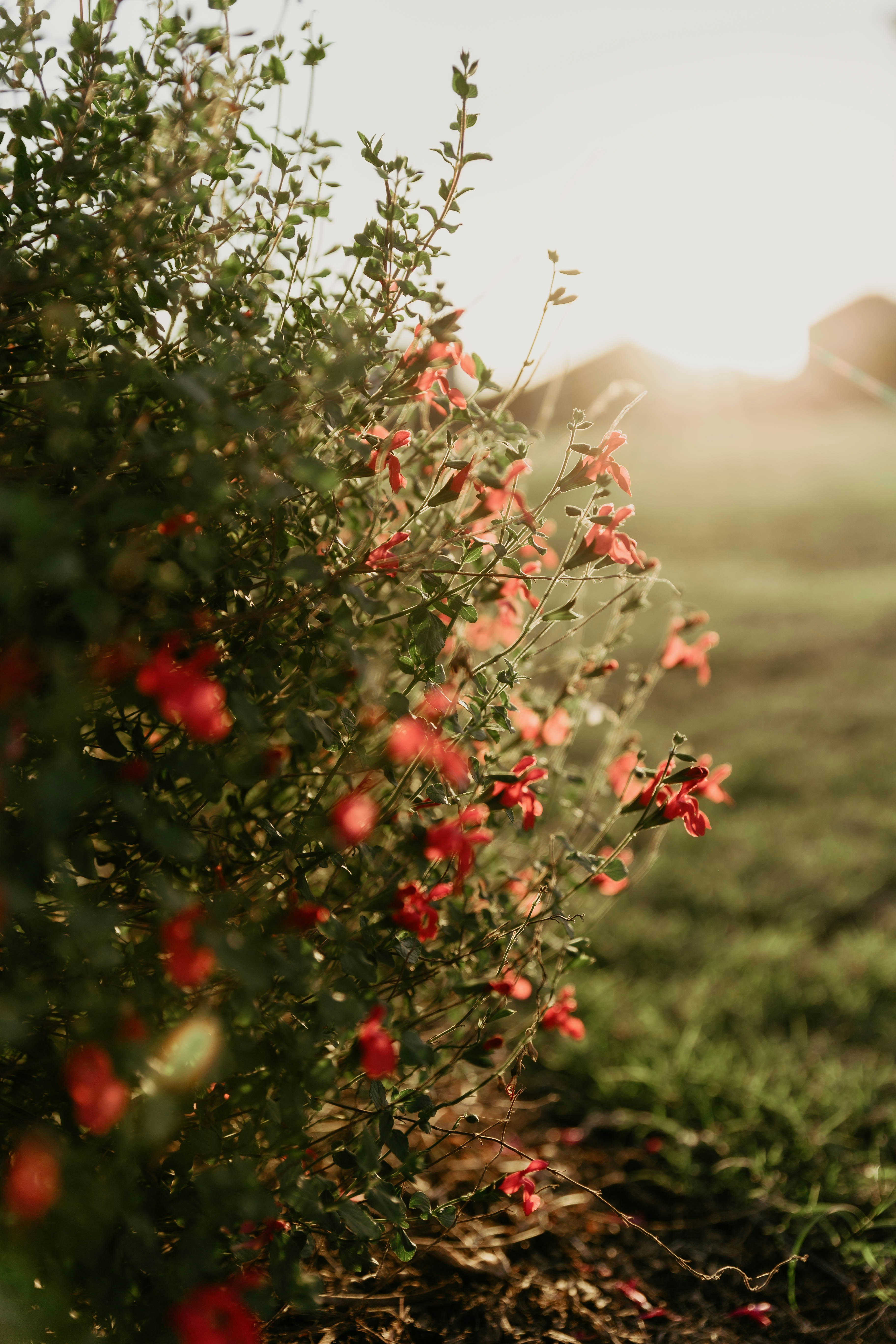 Photo by benignohoyuela