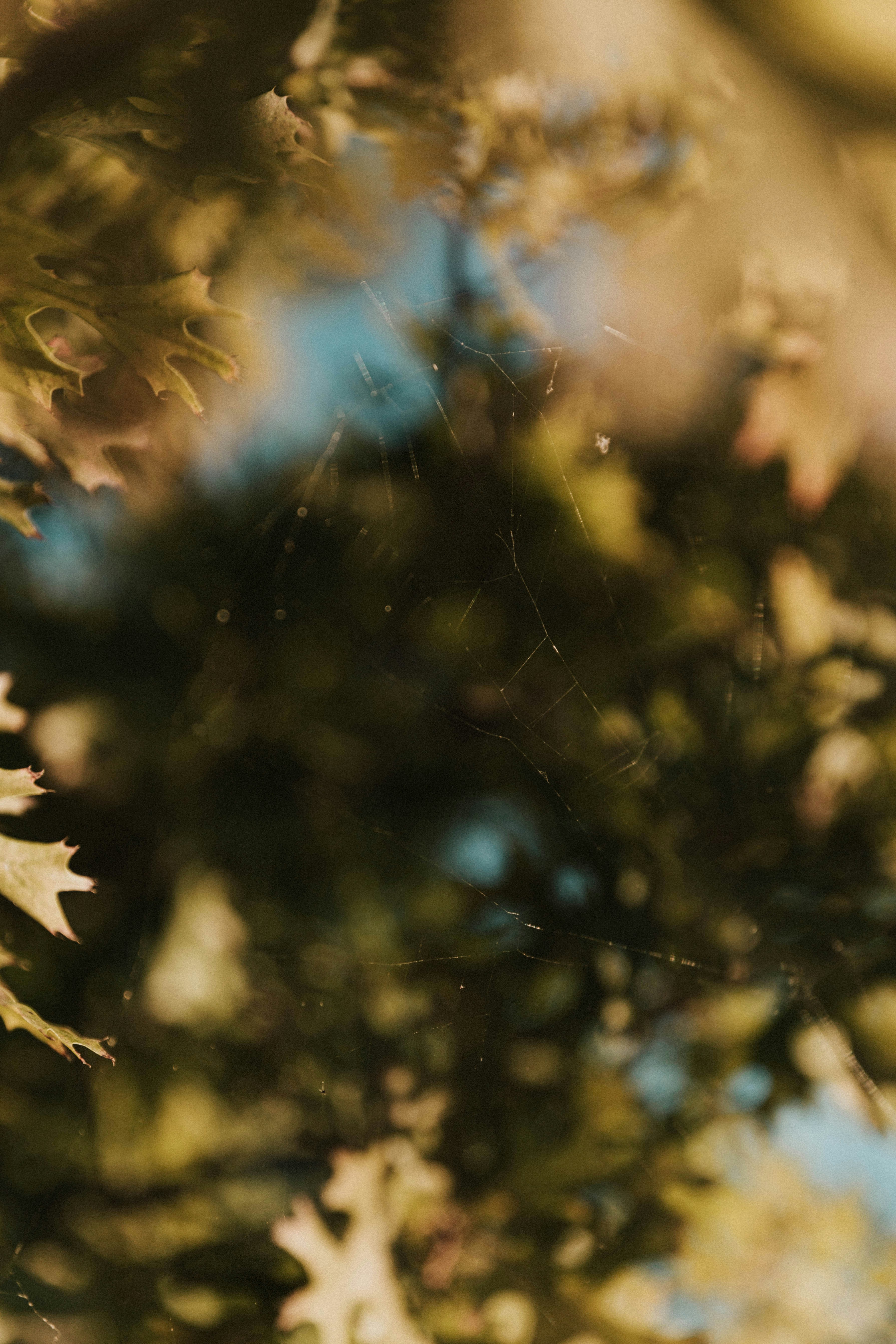 Photo by benignohoyuela