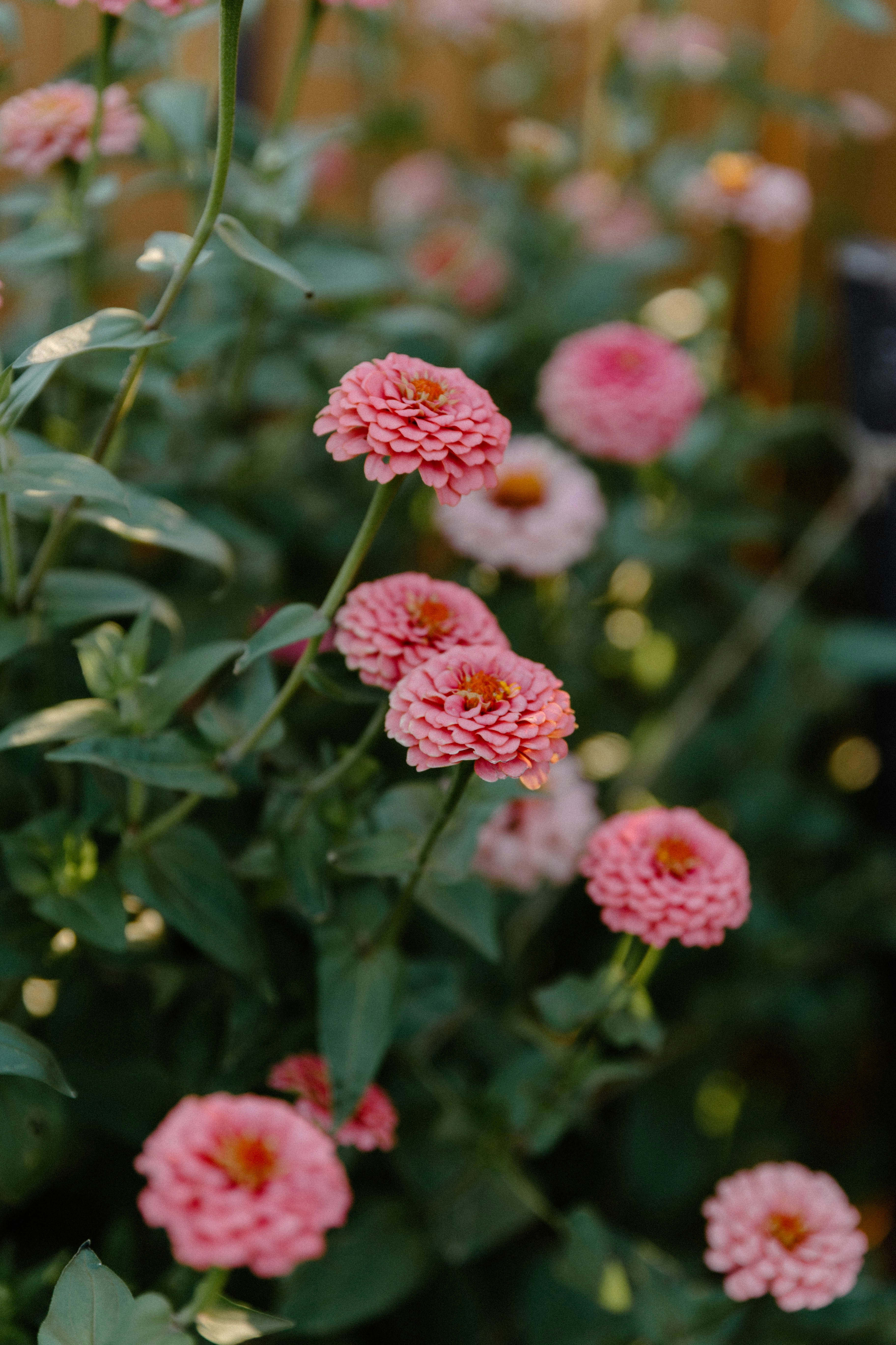 Photo by benignohoyuela