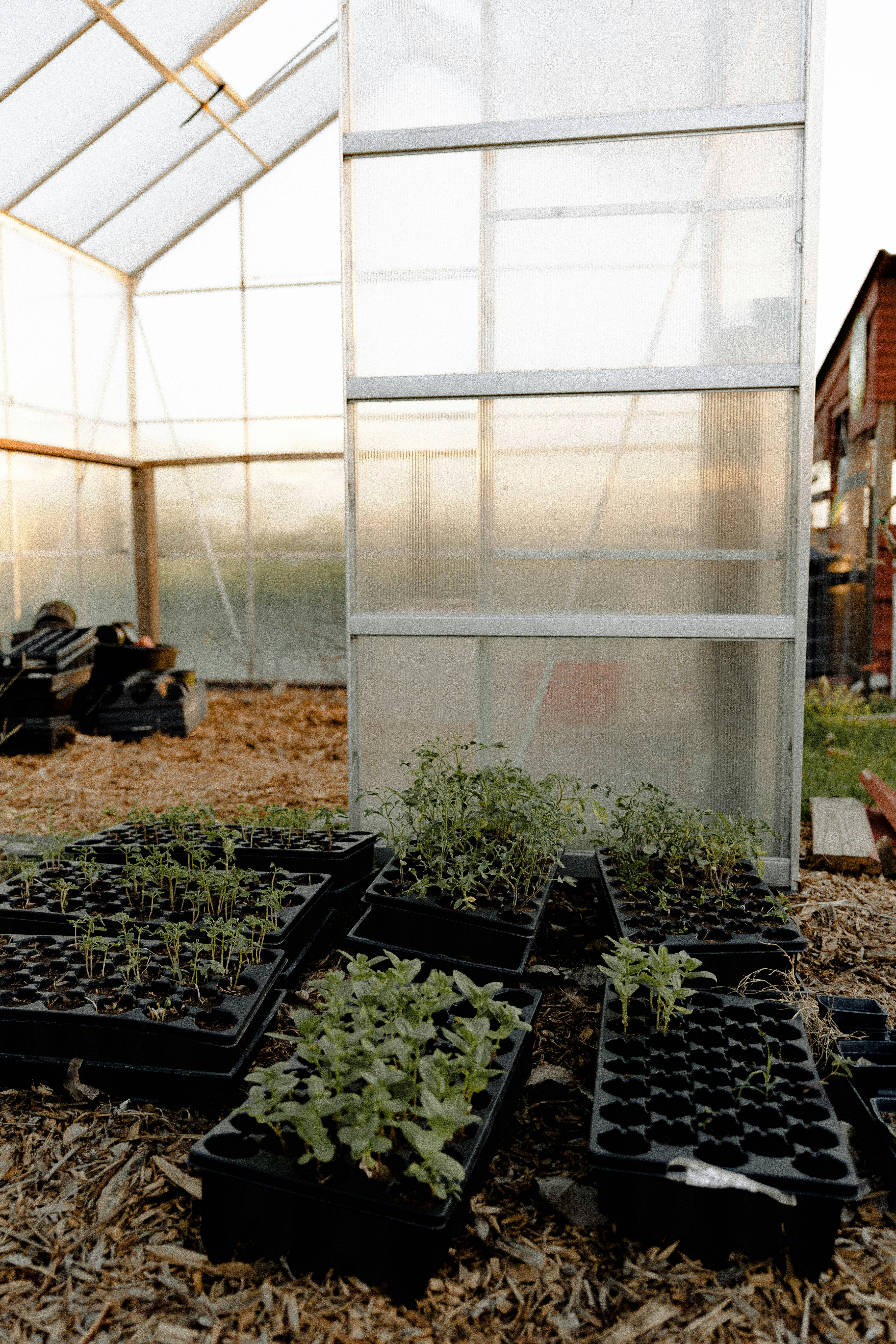 Photo by benignohoyuela