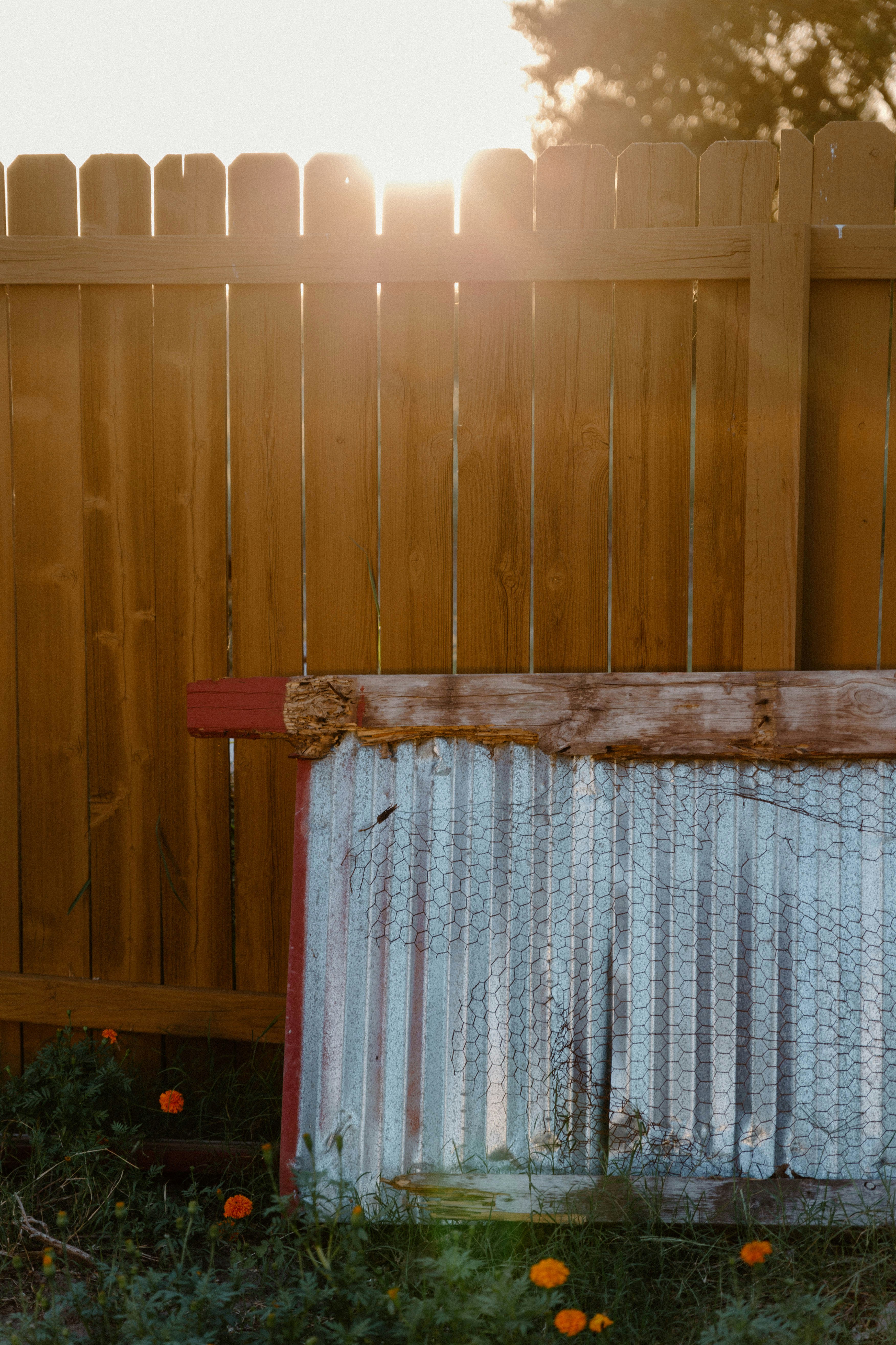 Photo by benignohoyuela