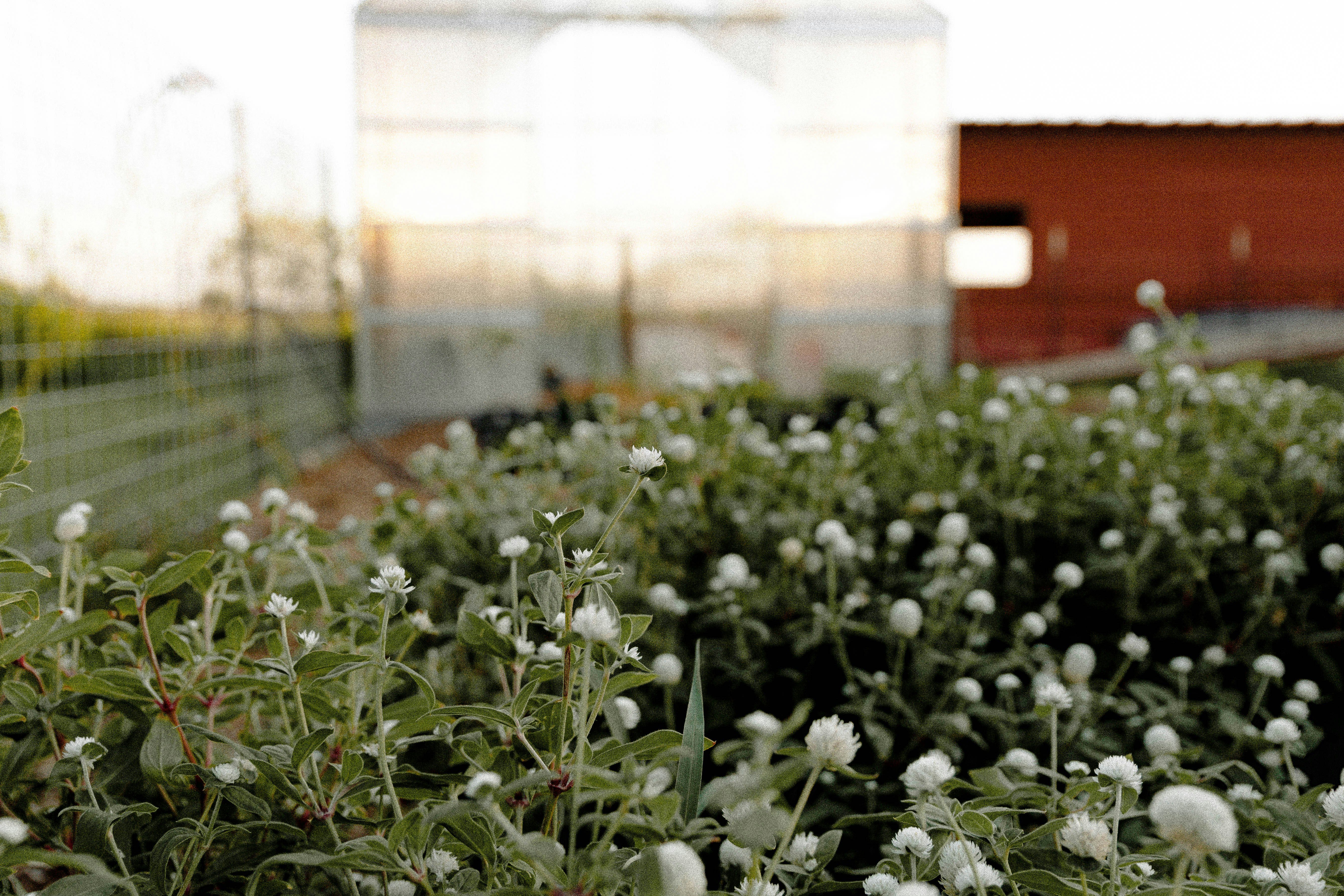 Photo by benignohoyuela