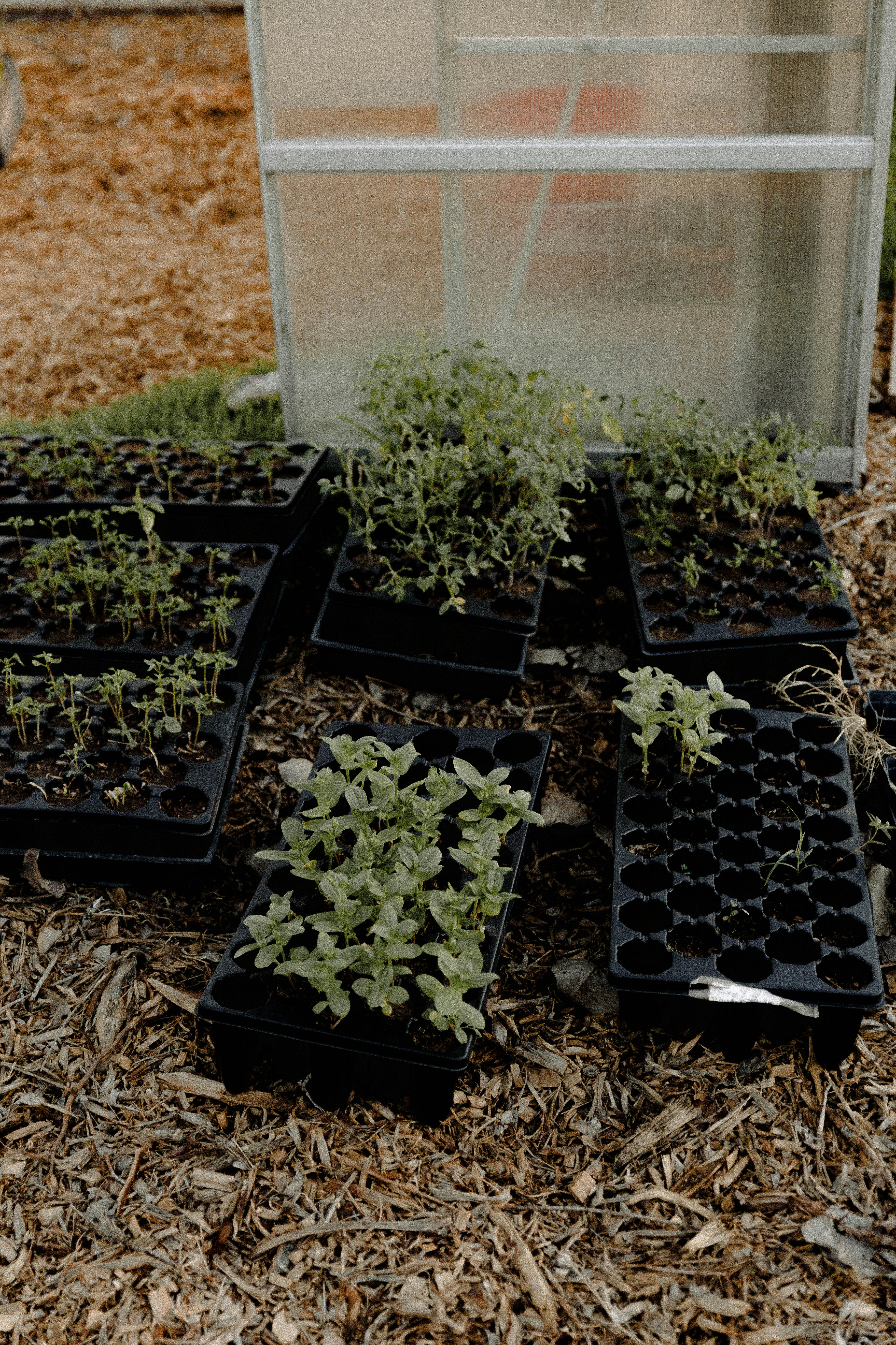 Photo by benignohoyuela