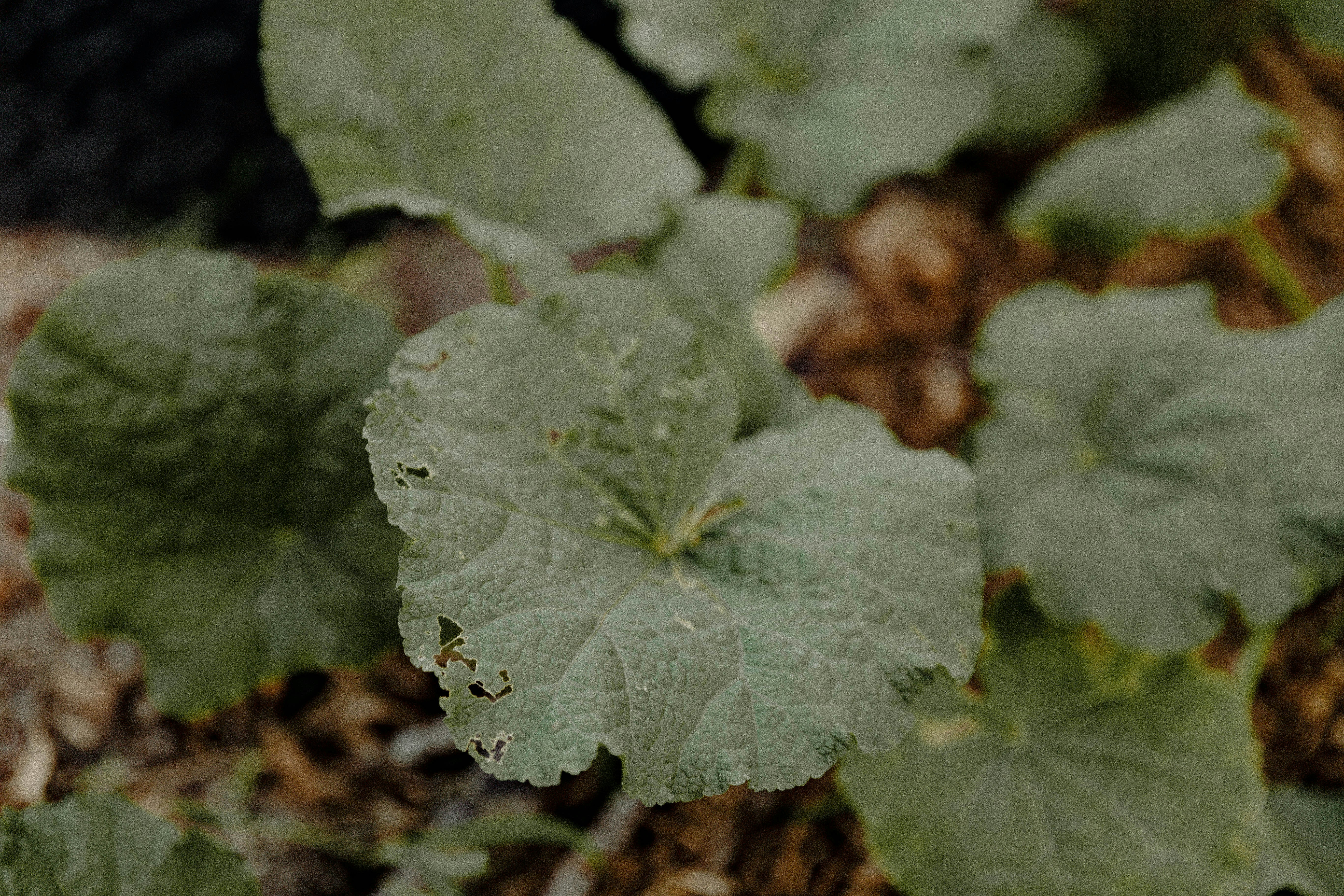 Photo by benignohoyuela