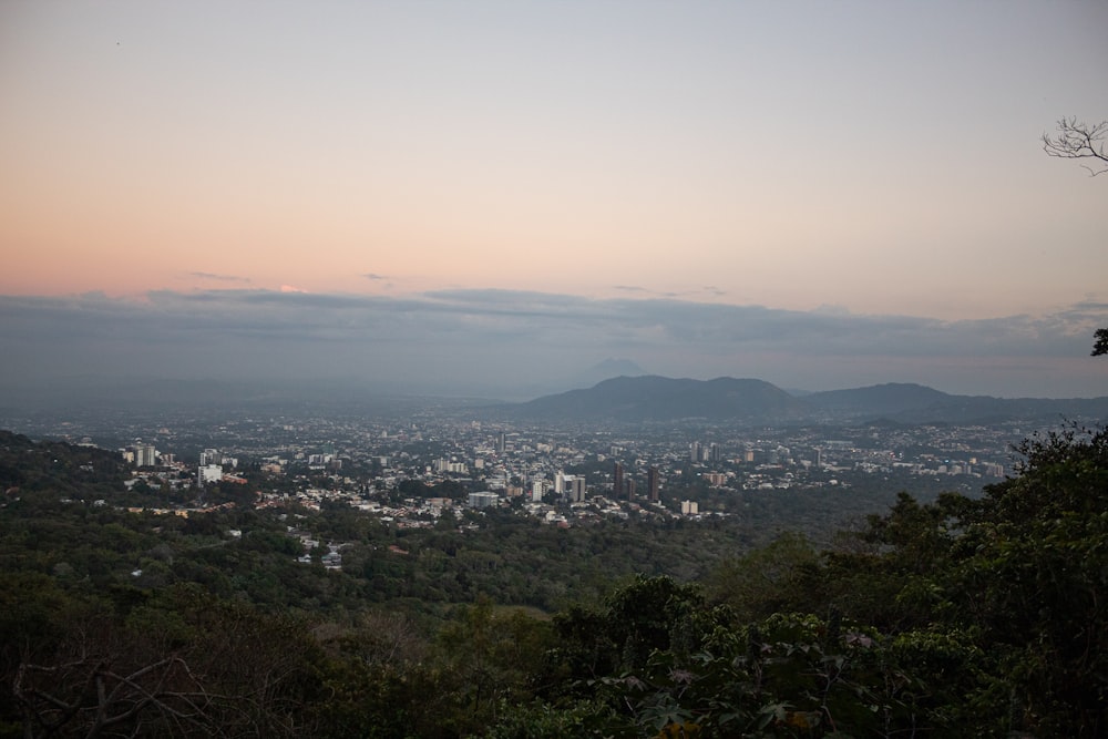 a view of a city from a hill