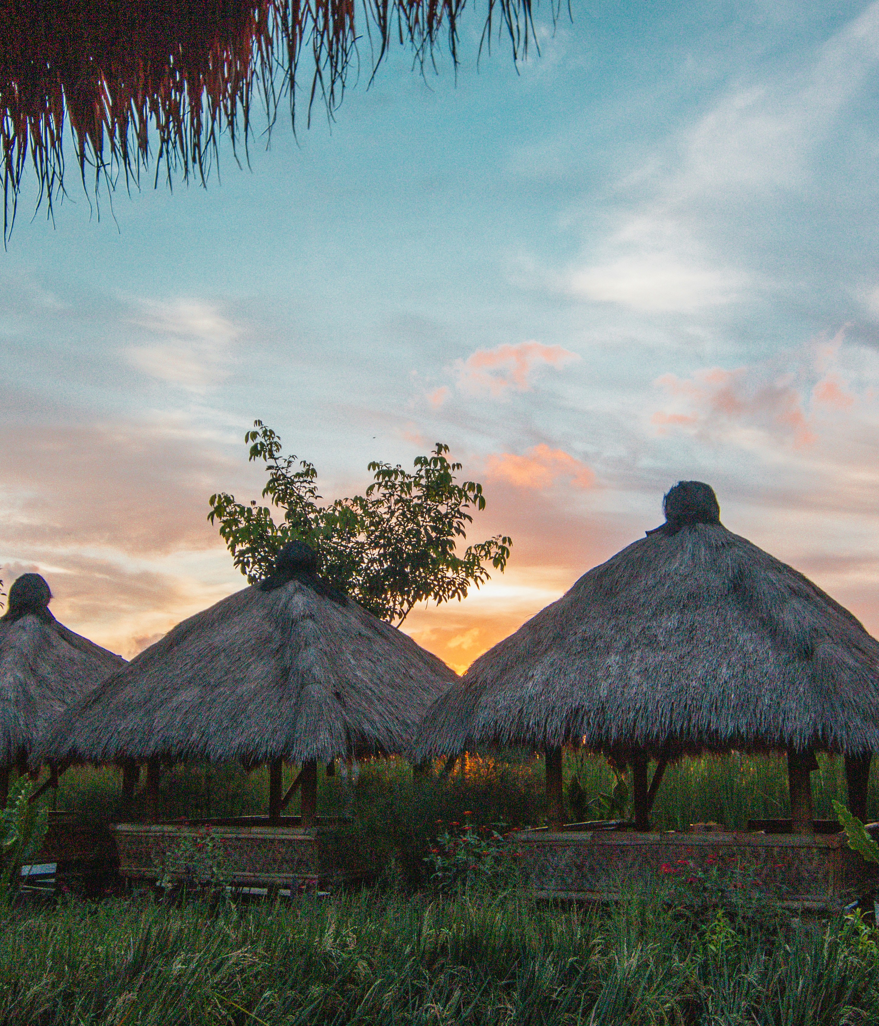 Photo by winson_gunohardjo