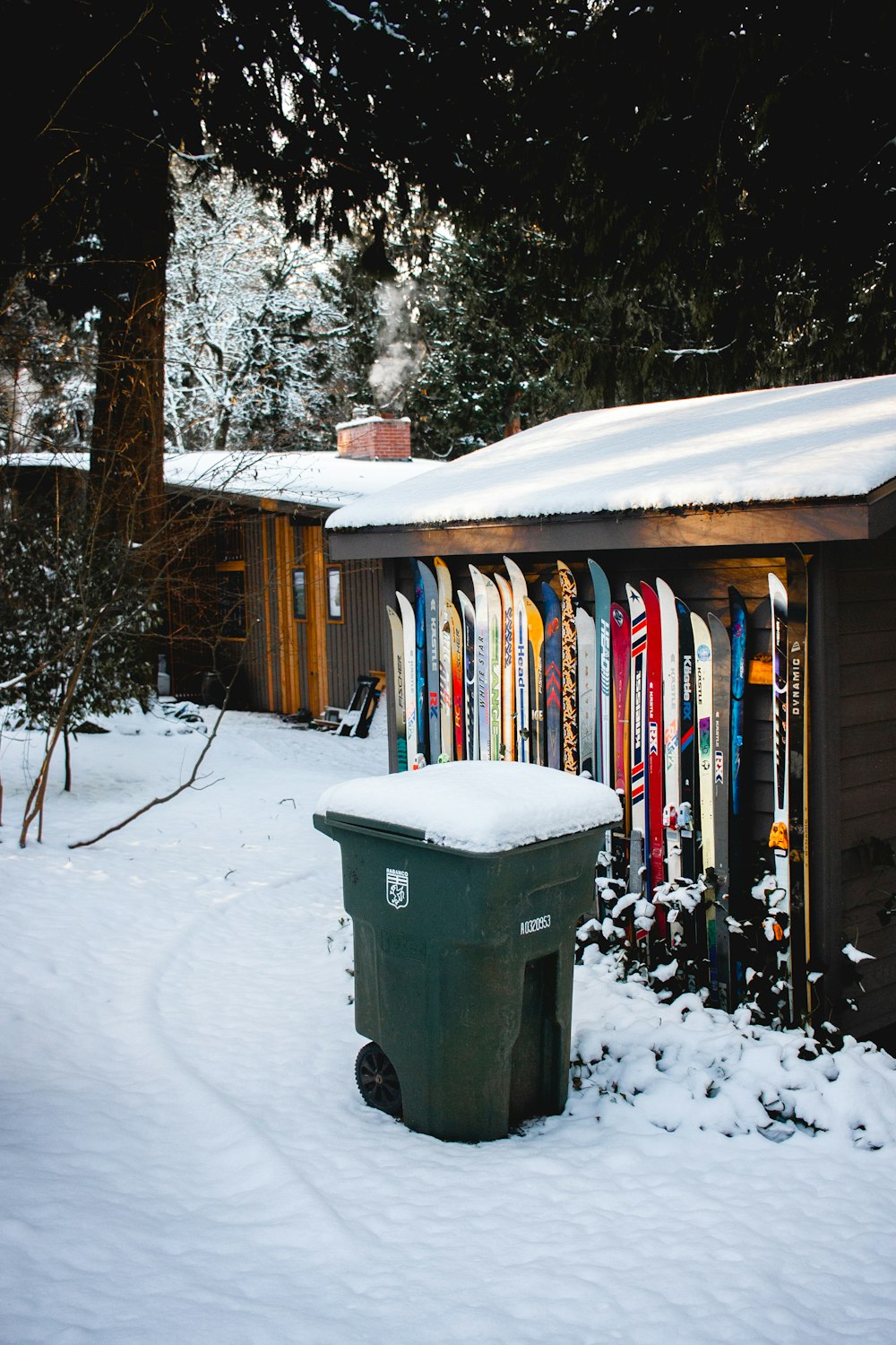 a bunch of skis that are in the snow