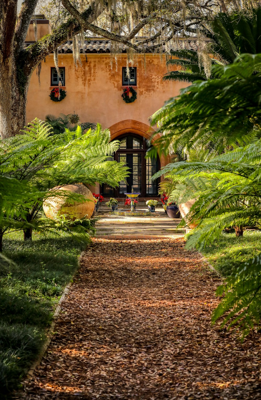 a pathway leading to a building with a clock on it