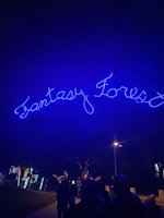 Bright blue neon lights spell out 'Fantasy Forest' against a dark night sky. Below, people are silhouetted against the illuminated path, with colorful, decorative lights shaped like animals adorning the walkway.