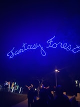 Bright blue neon lights spell out 'Fantasy Forest' against a dark night sky. Below, people are silhouetted against the illuminated path, with colorful, decorative lights shaped like animals adorning the walkway.