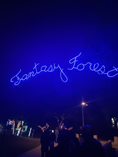 Bright blue neon lights spell out 'Fantasy Forest' against a dark night sky. Below, people are silhouetted against the illuminated path, with colorful, decorative lights shaped like animals adorning the walkway.