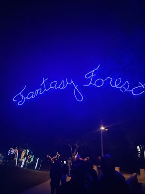 Bright blue neon lights spell out 'Fantasy Forest' against a dark night sky. Below, people are silhouetted against the illuminated path, with colorful, decorative lights shaped like animals adorning the walkway.